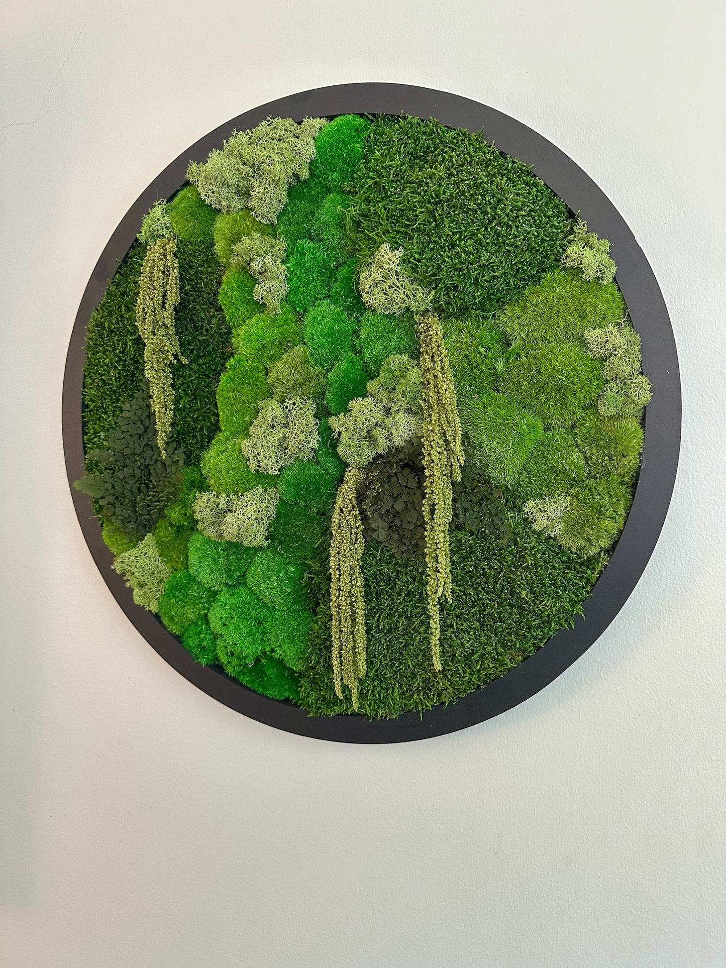 Moss Wall Art Circle Frame | Preserved Moss Art Framed | Moss Wall Decor | Size is 20" | Reindeer & Sheet Moss | Christmas Gift