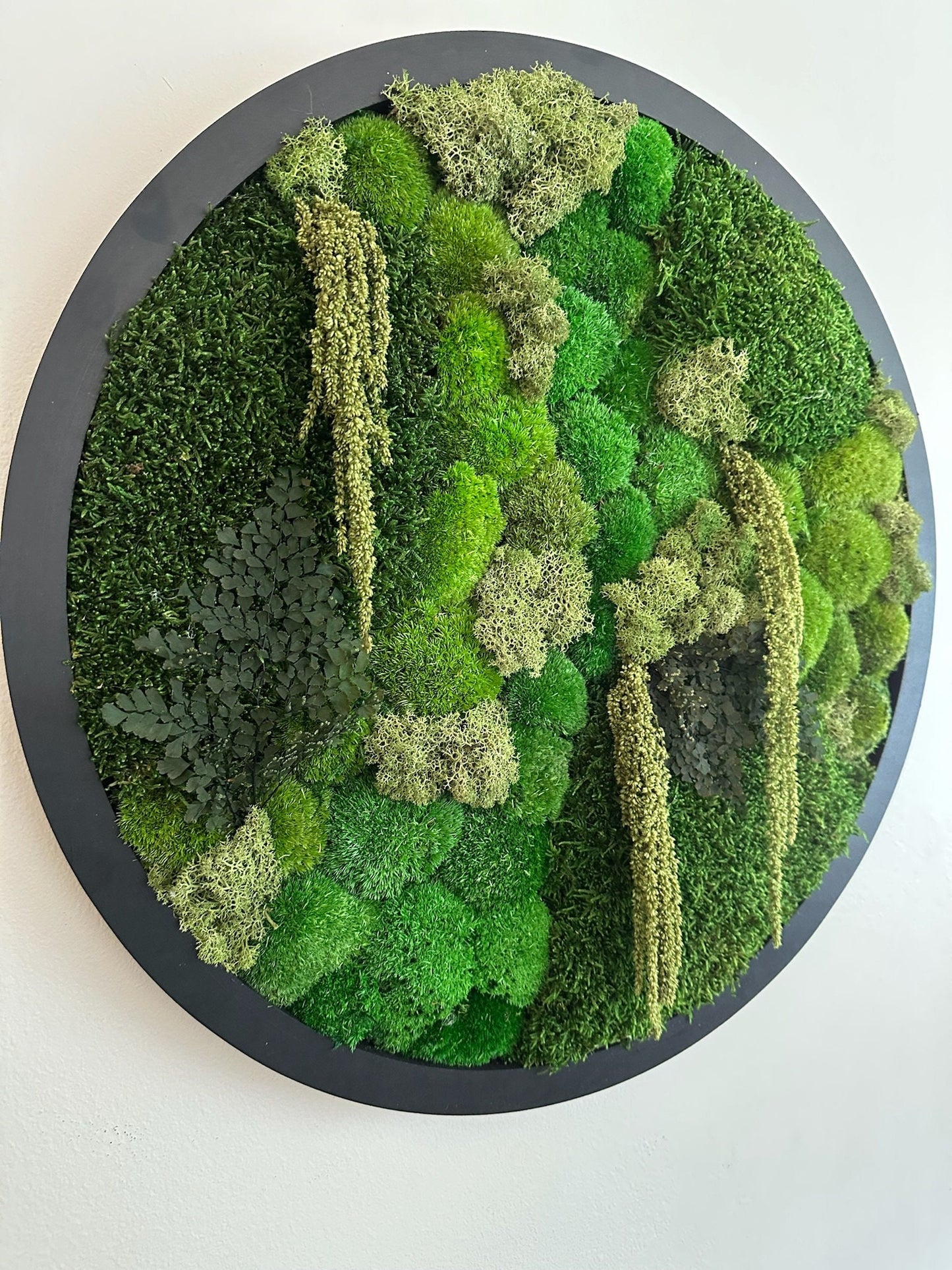Moss Wall Art Circle Frame | Preserved Moss Art Framed | Moss Wall Decor | Size is 20" | Reindeer & Sheet Moss | Christmas Gift
