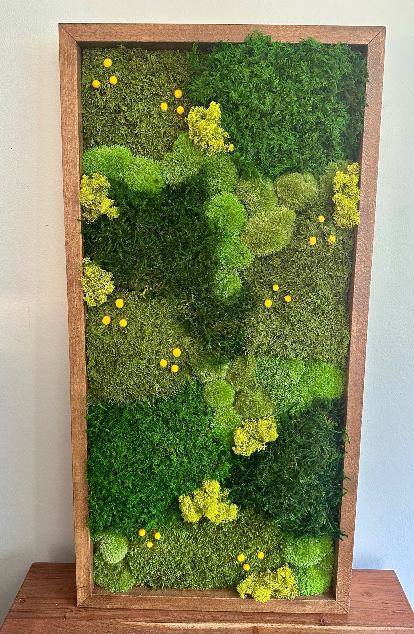 Moss Wall Art | Preserved Moss Art | Moss Wall Decor | Wood Frame Sets | 15" x 30" Rectangle Set 1 to 4 | Lycopodium Moss, Fern & Pole Moss