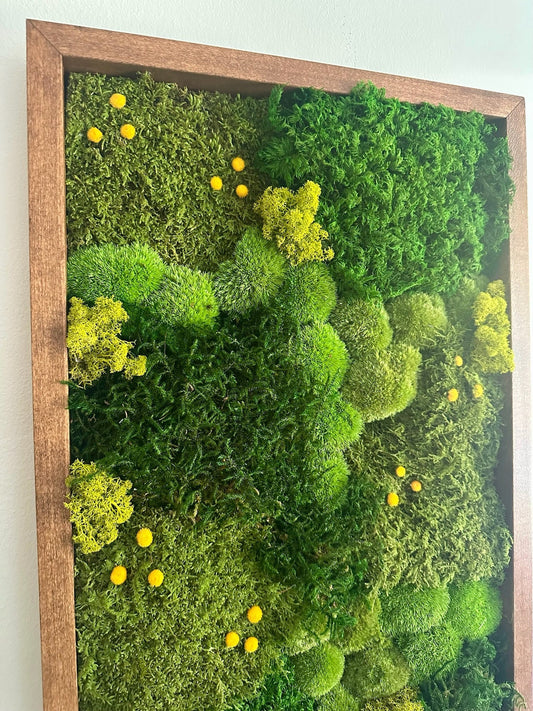 Preserved Moss Wall Art: Lycopodium, Fern & Pole Moss in Wood Frame (15" x 30")