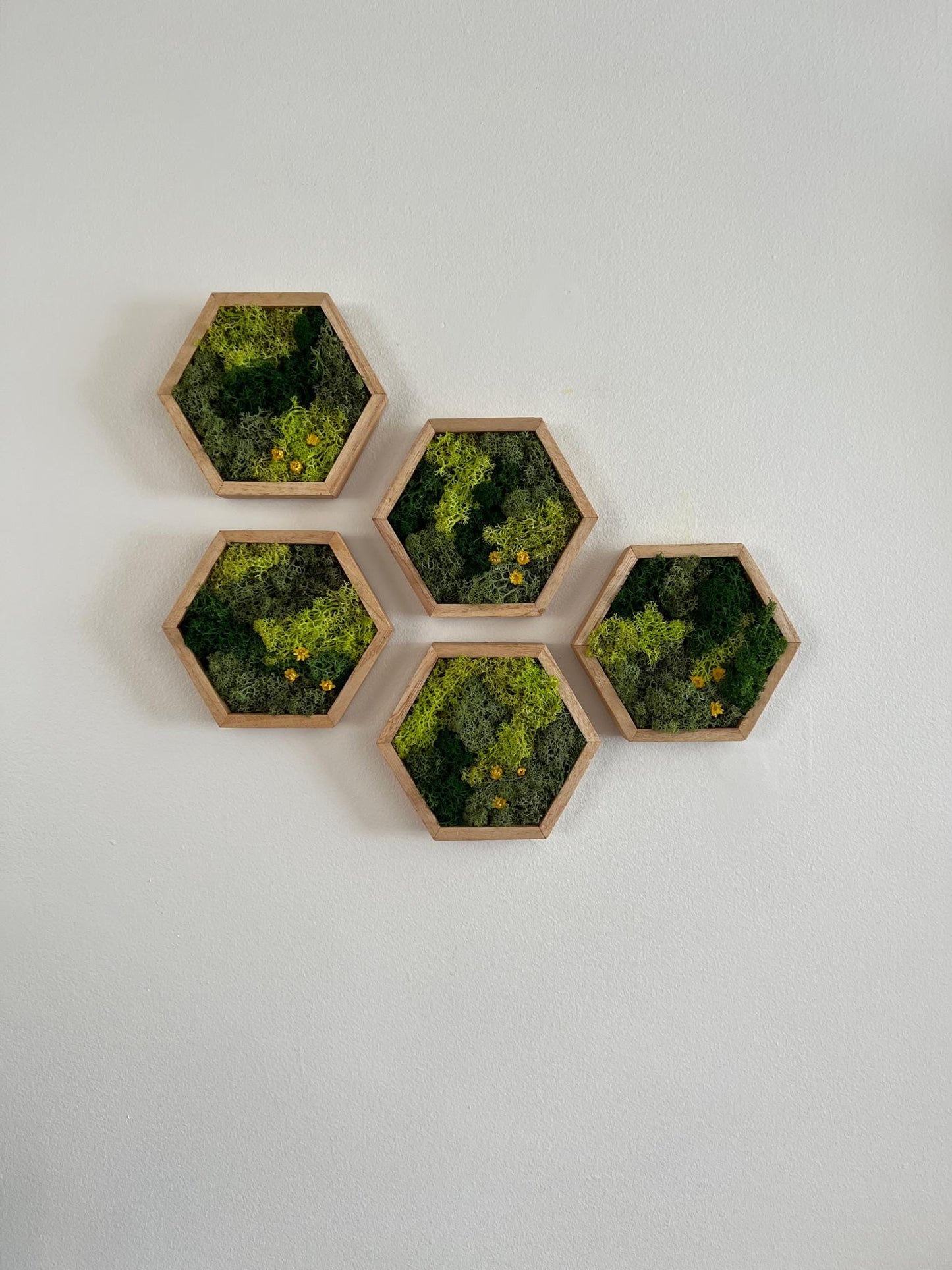 Honeycomb Moss Wall Art: Reindeer Moss & Flowers in Wood Hexagon | USA - TARIFF FREE