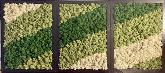 Preserved Reindeer Moss Wall Art: Rectangle Wood Frame | USA - TARIFF FREE