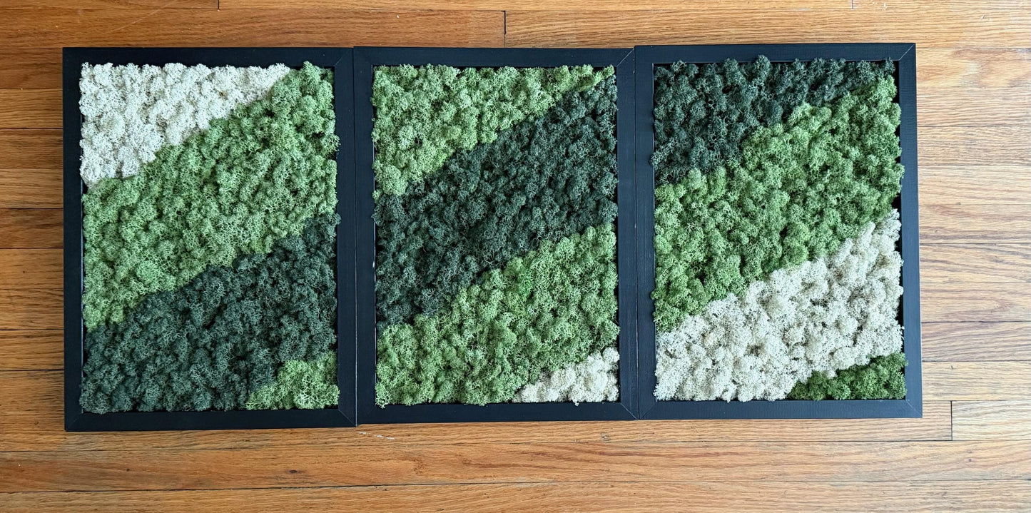 Preserved Reindeer Moss Wall Art: Rectangle Wood Frame | USA - TARIFF FREE