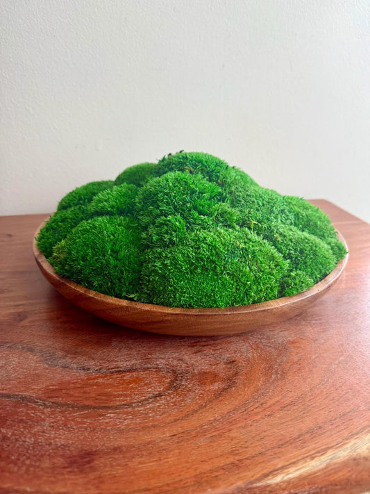 Preserved Moss Centerpiece: Wood Bowl with Reindeer Moss | USA - TARIFF FREE