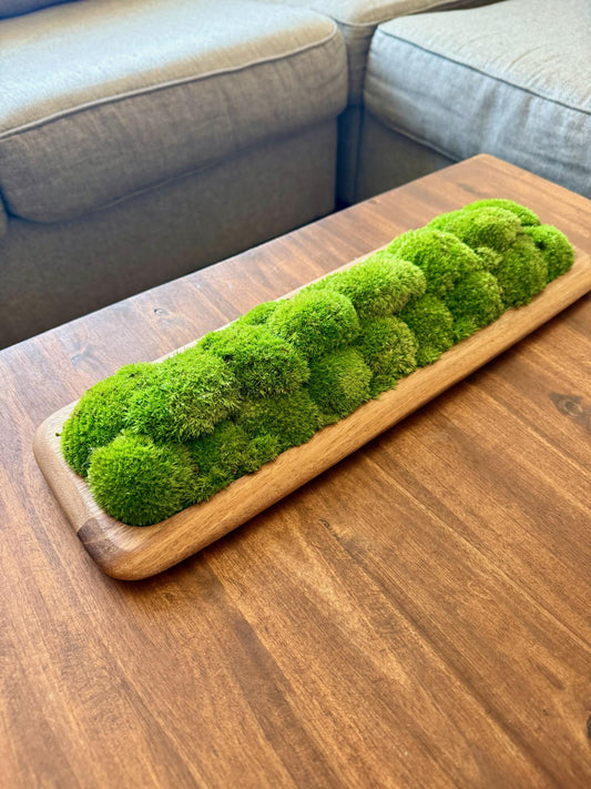 Preserved Pole Moss Centerpiece: Wood Nature Bowl, Wedding Decor | USA - TARIFF FREE
