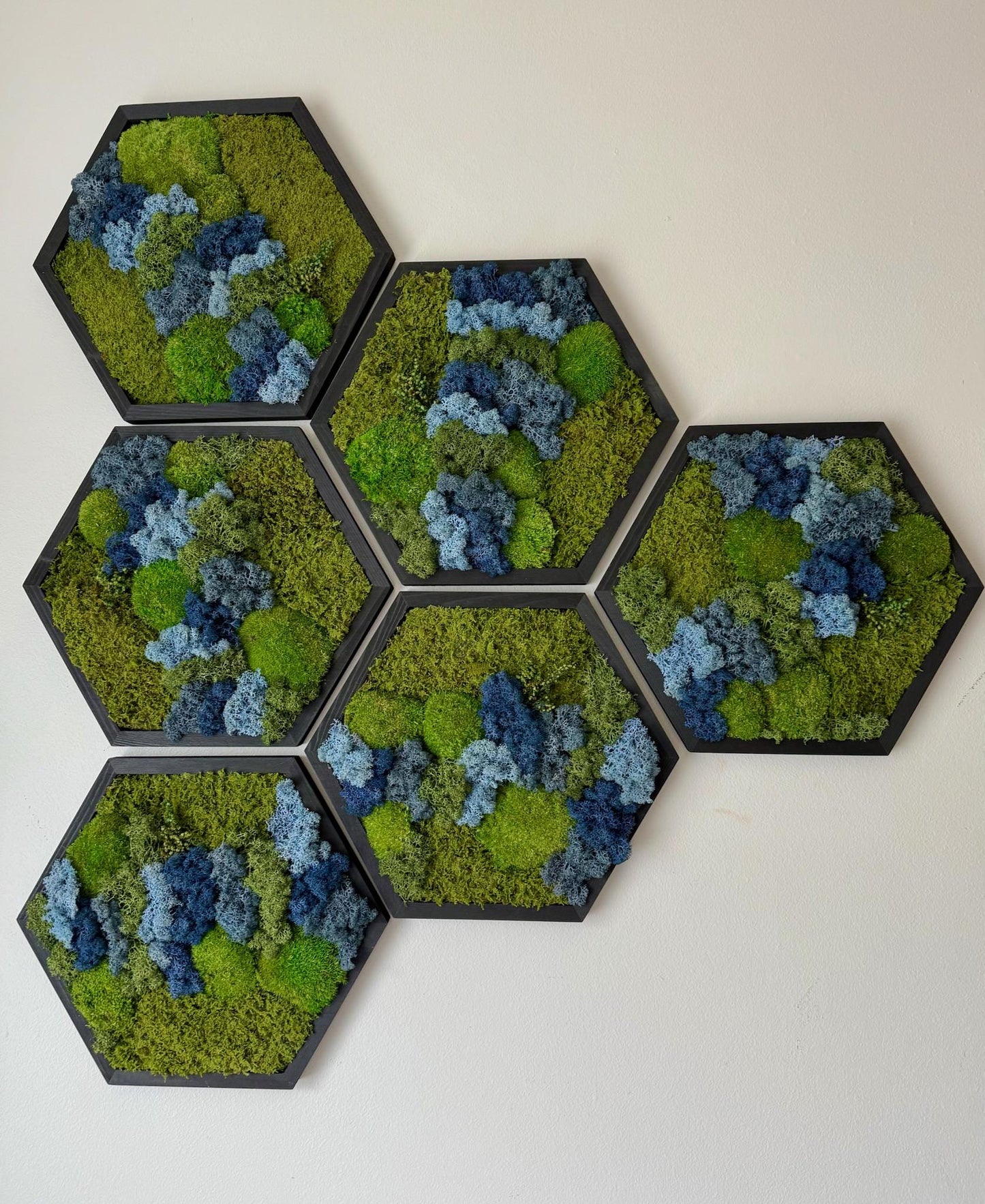 Honeycomb Moss Wall Art: Reindeer, Pole & Sheet Moss in Wood Hexagon | USA - TARIFF FREE