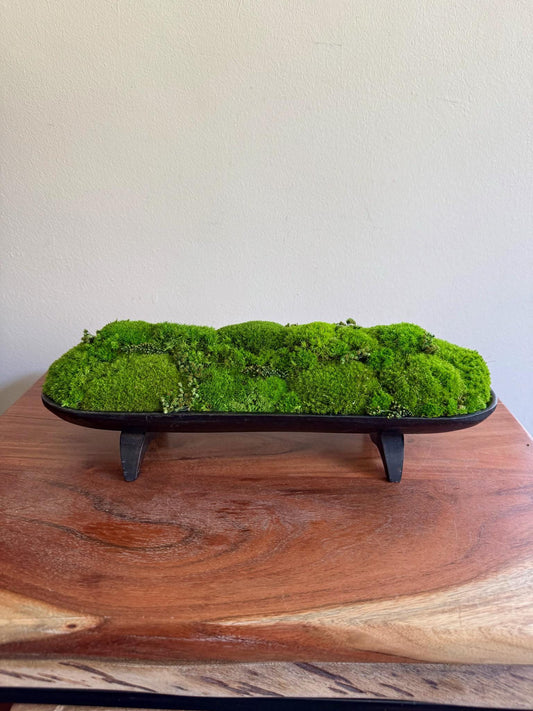 Preserved Moss Centerpiece: Pole & Reindeer Moss in Black Wood Bowl | USA - TARIFF FREE