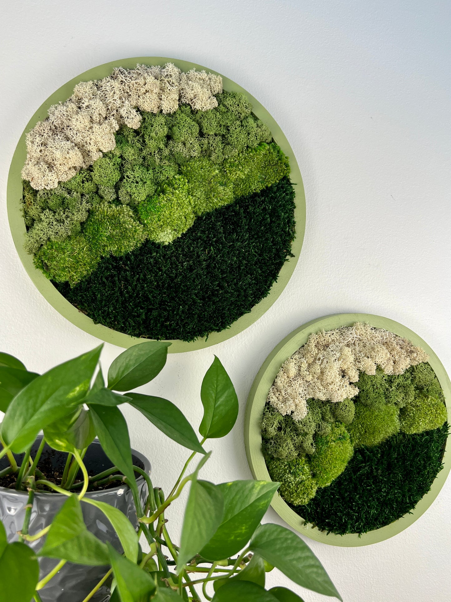 Moss Wall Art Circle -Ombre Shades of Green - Green Frame