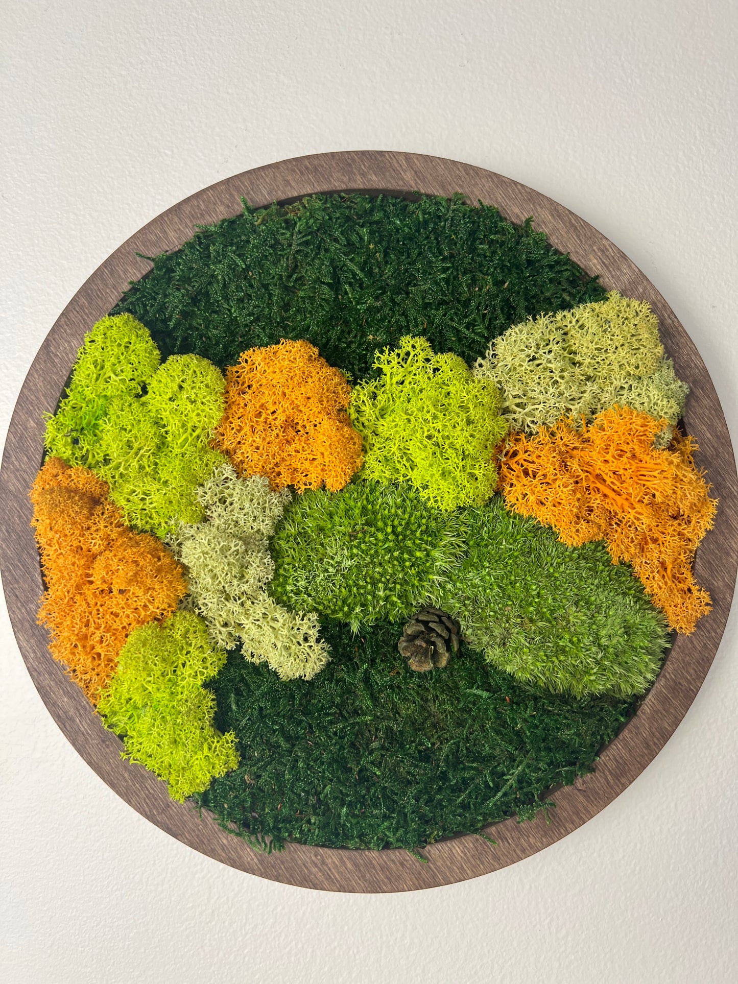 Moss Wall Art Circle - Shades of Green and Orange