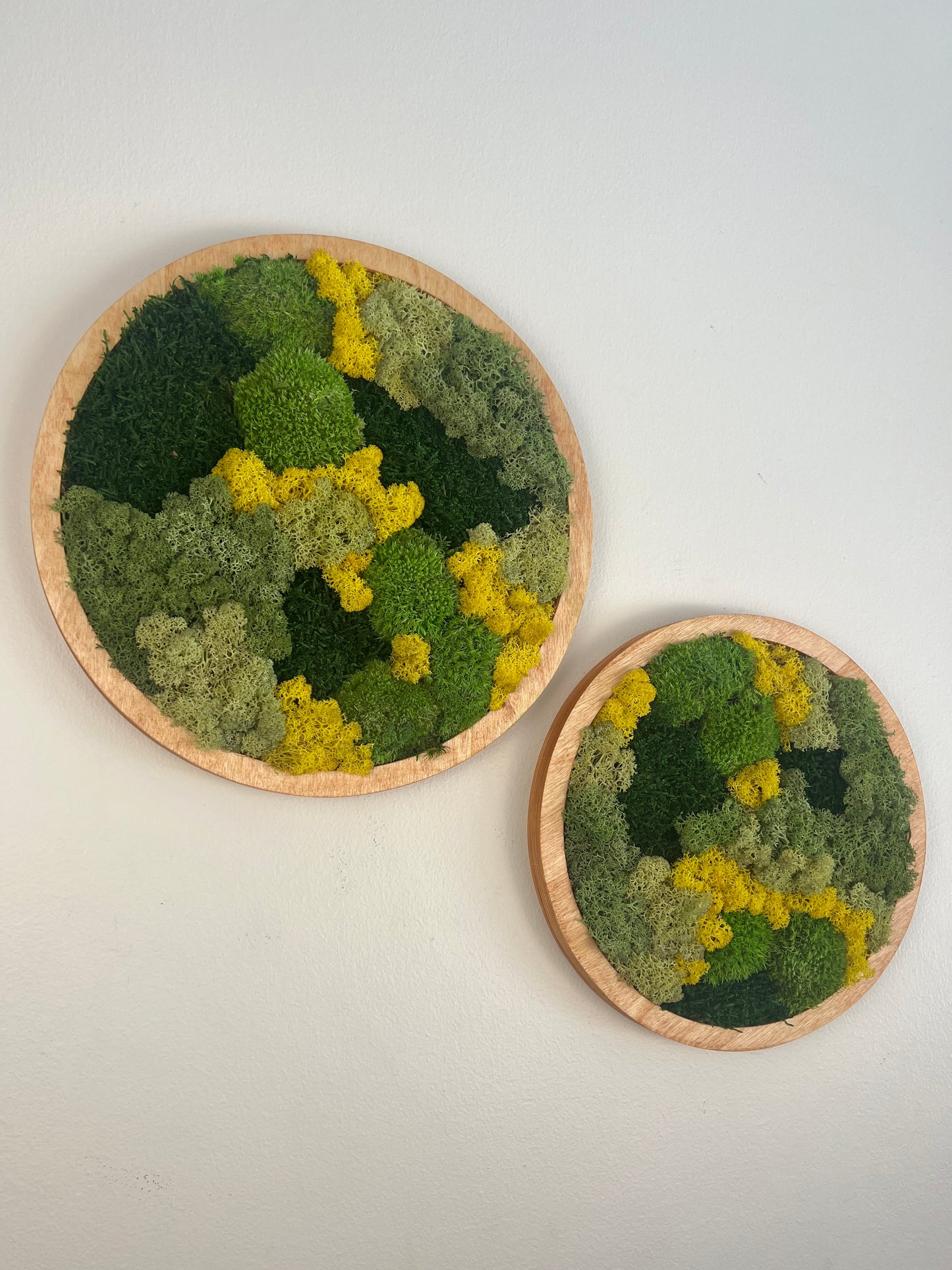Moss Wall Art Circle - Shades of Green and Yellow