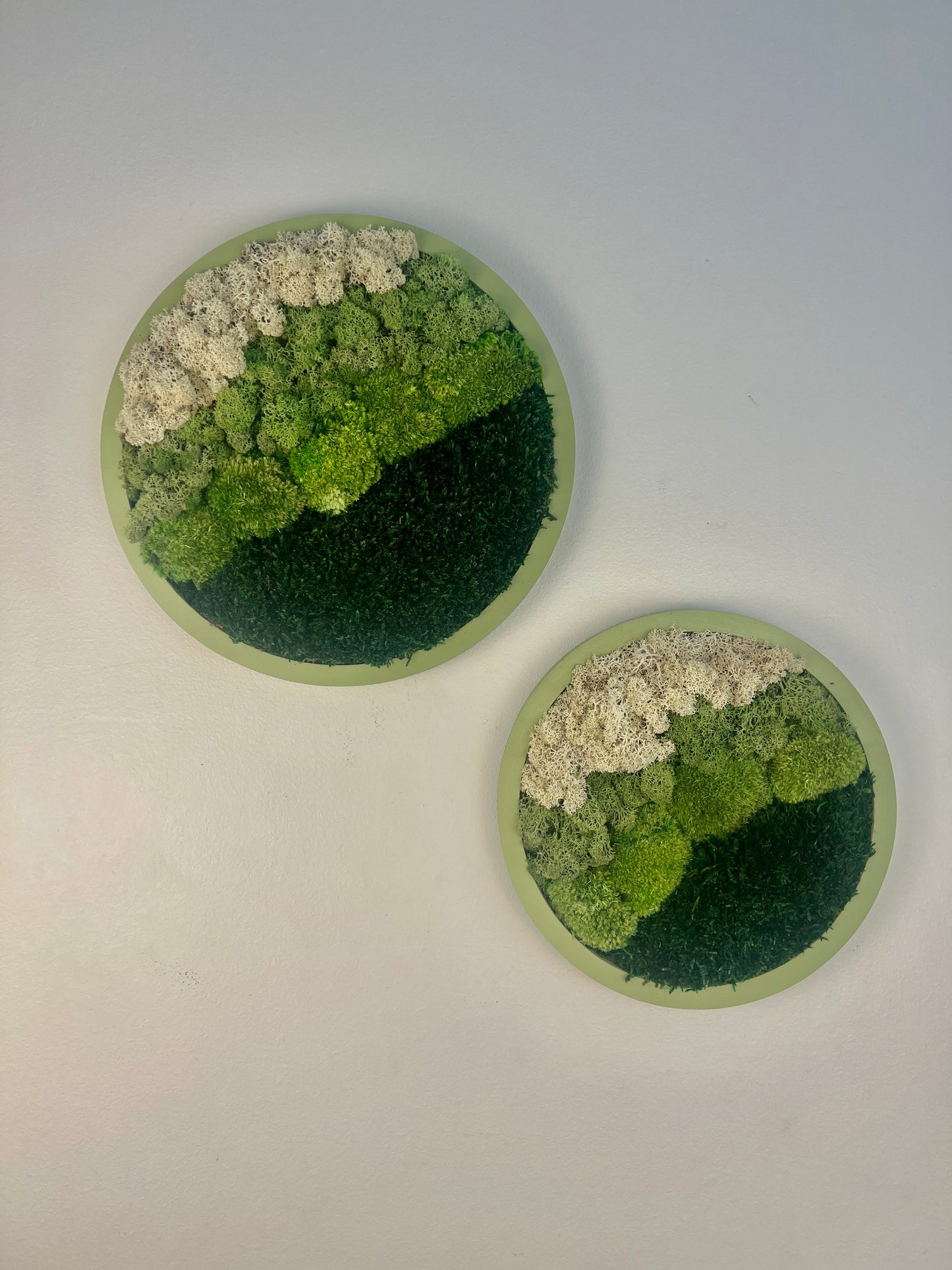 Moss Wall Art Circle -Ombre Shades of Green - Green Frame