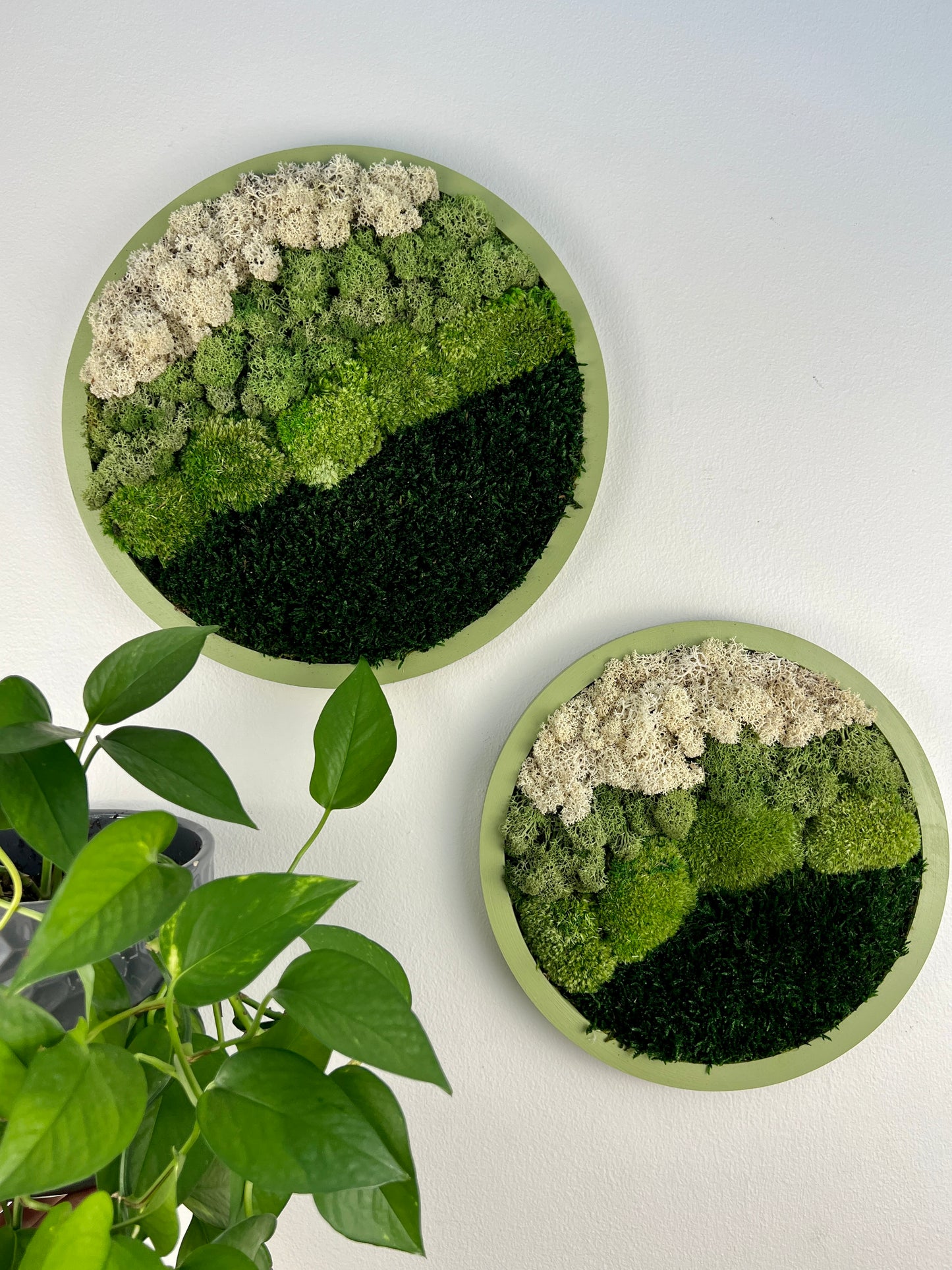 Moss Wall Art Circle -Ombre Shades of Green - Green Frame