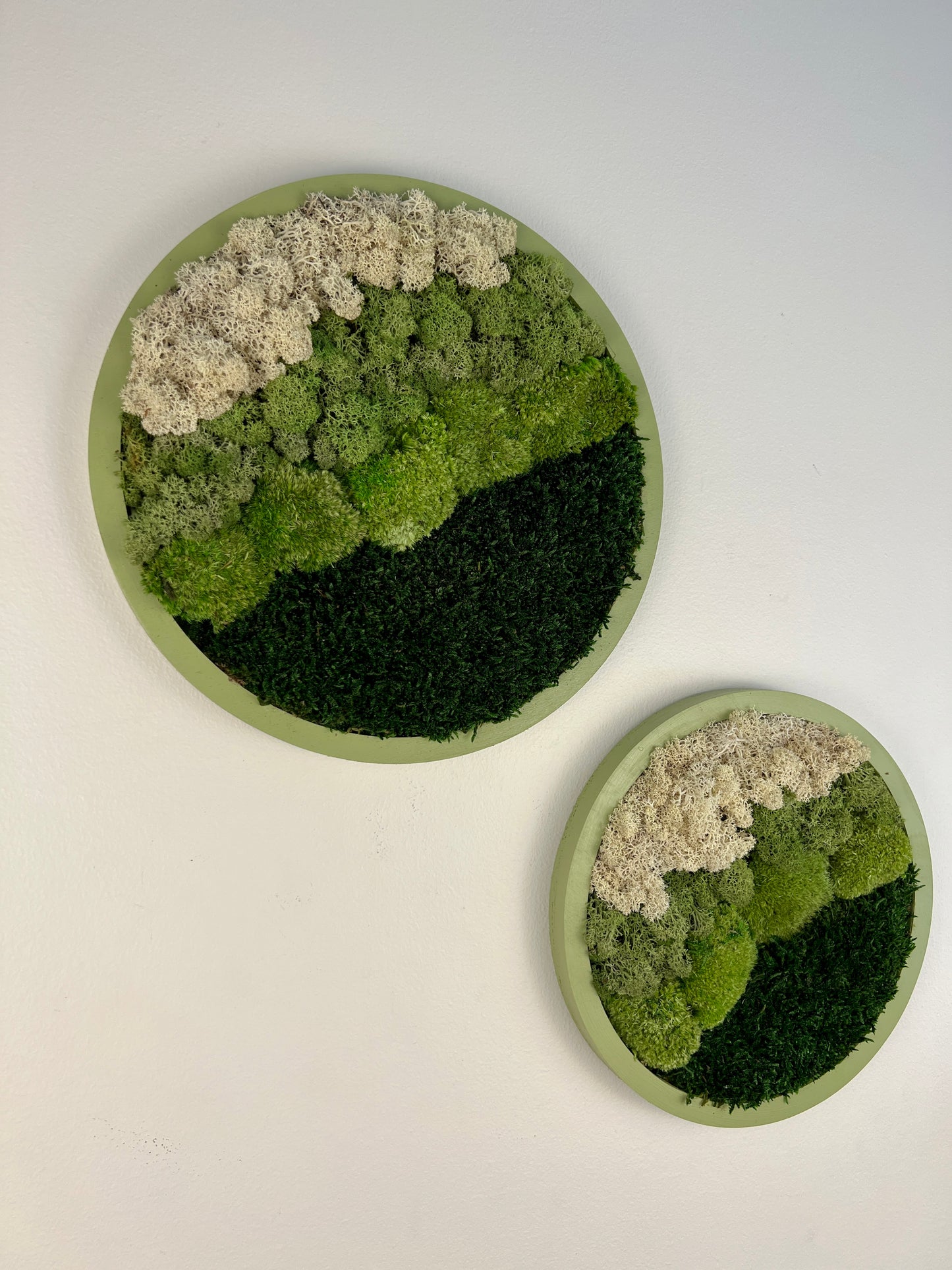 Moss Wall Art Circle -Ombre Shades of Green - Green Frame