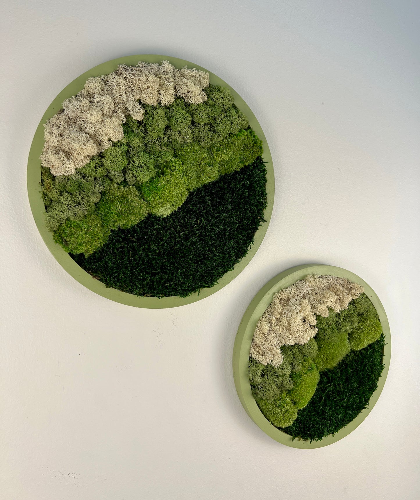 Moss Wall Art Circle -Ombre Shades of Green - Green Frame