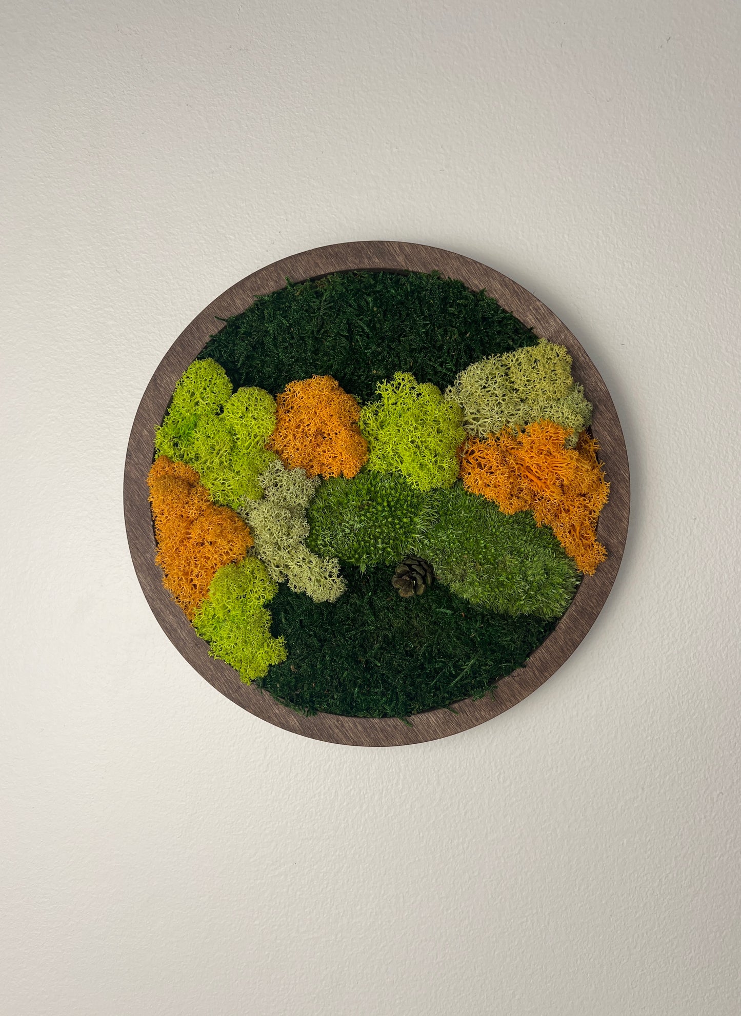 Moss Wall Art Circle - Shades of Green and Orange