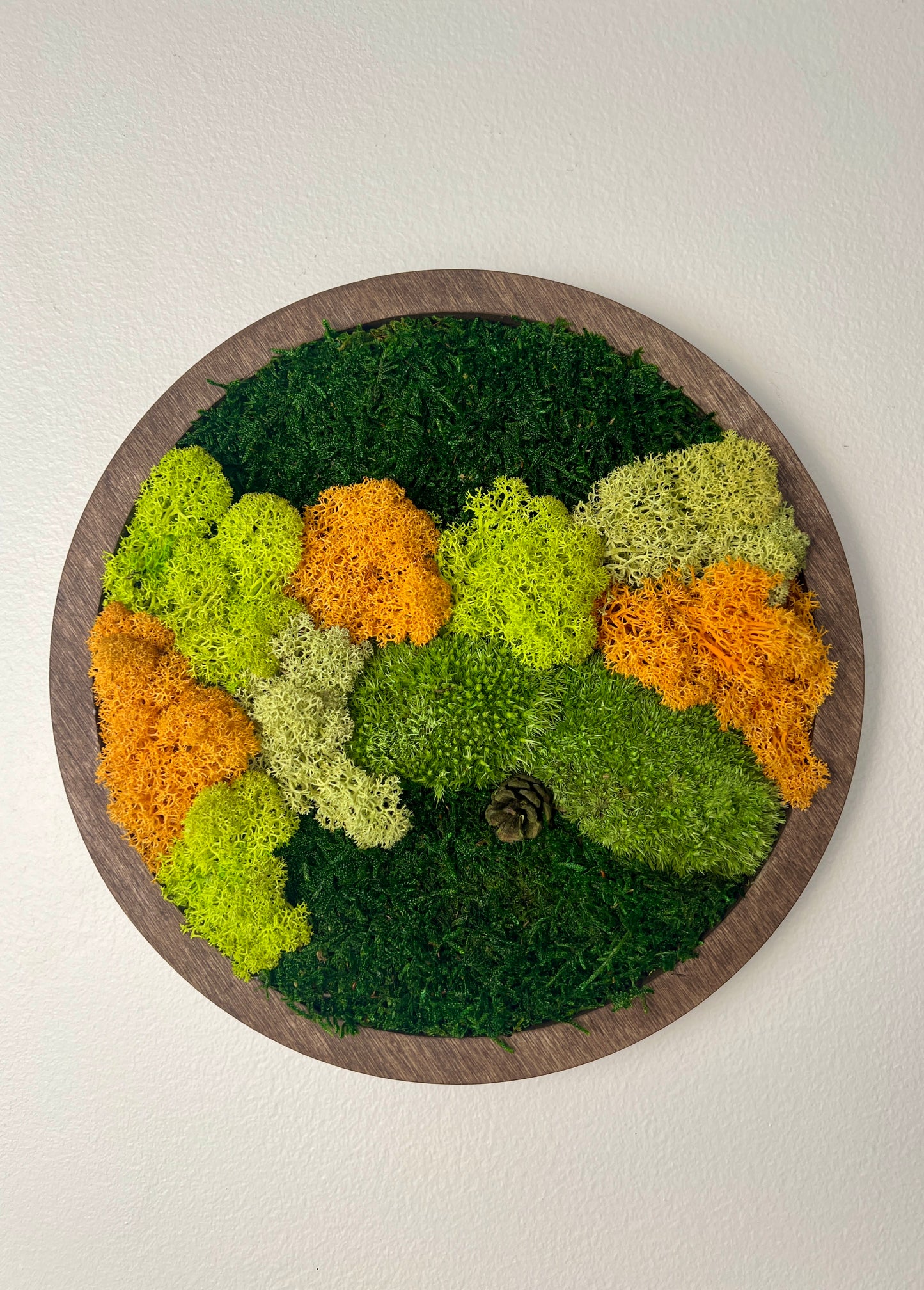 Moss Wall Art Circle - Shades of Green and Orange
