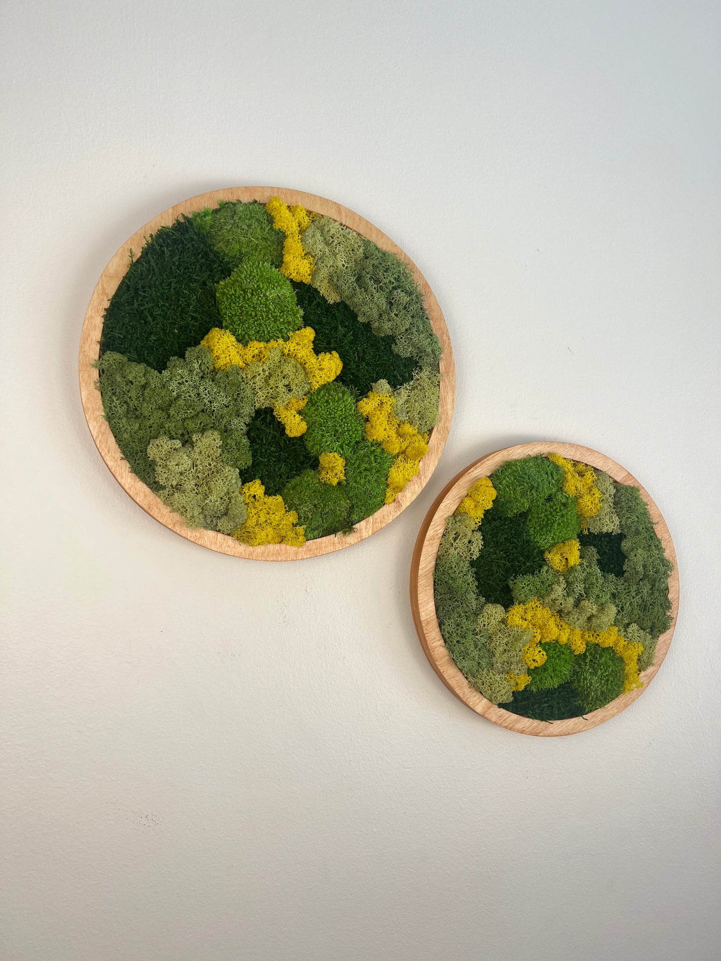 Moss Wall Art Circle - Shades of Green and Yellow