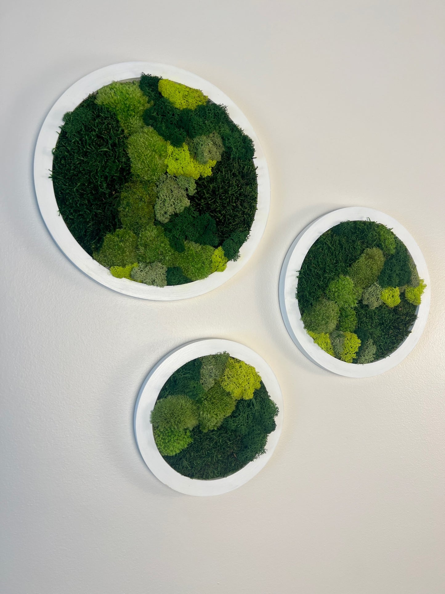 Circle Trio - Shades of Green - White Frame