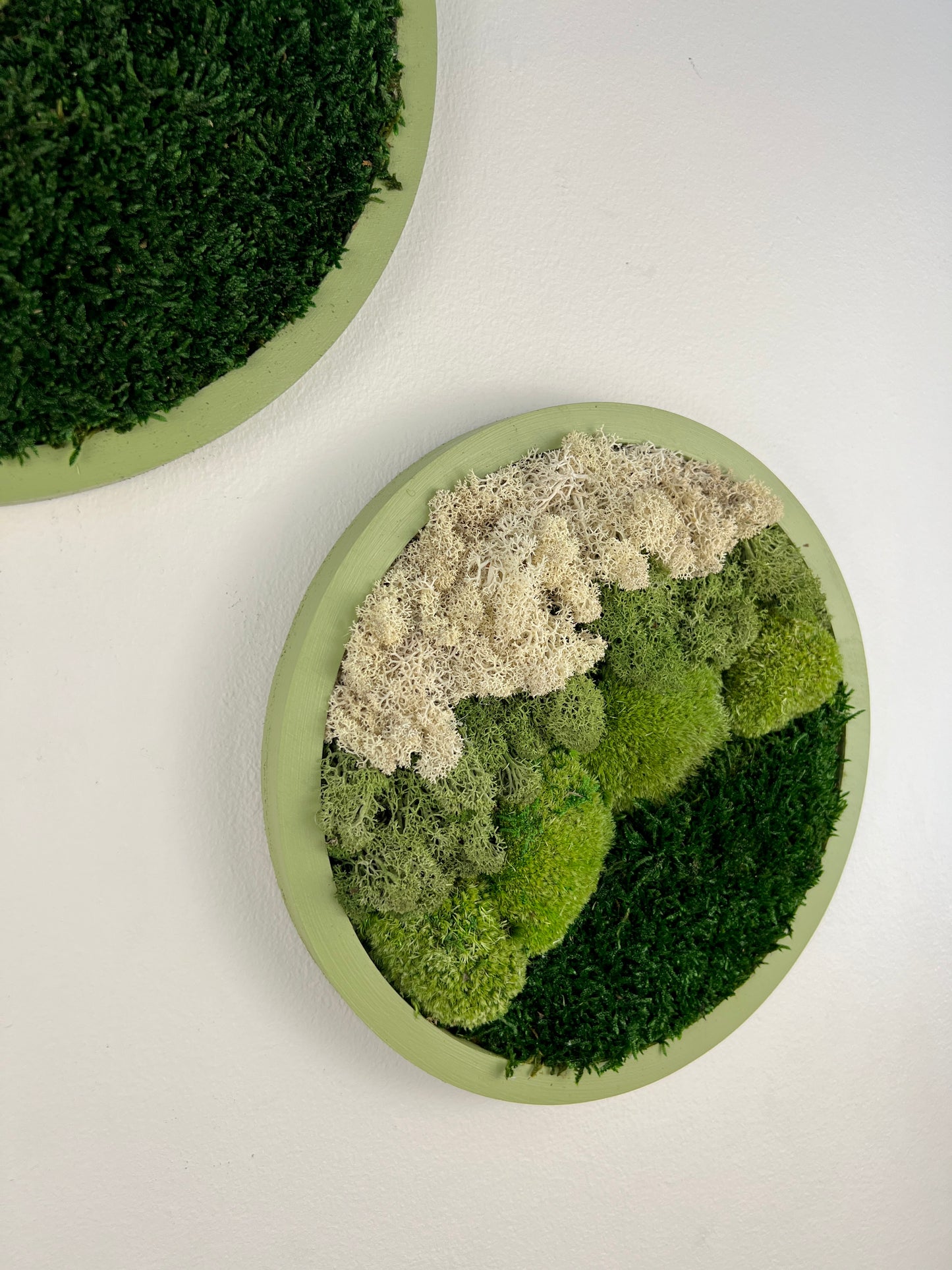 Moss Wall Art Circle -Ombre Shades of Green - Green Frame