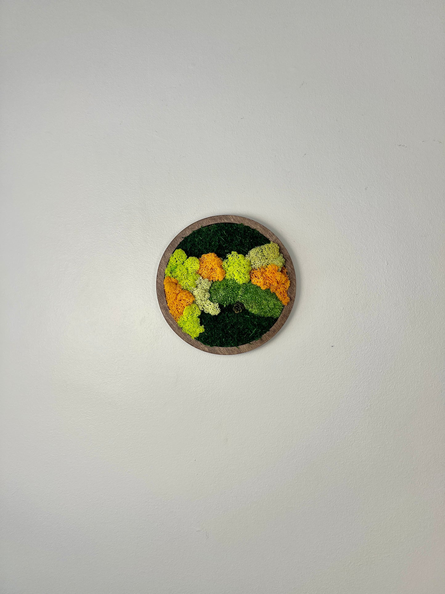 Moss Wall Art Circle - Shades of Green and Orange