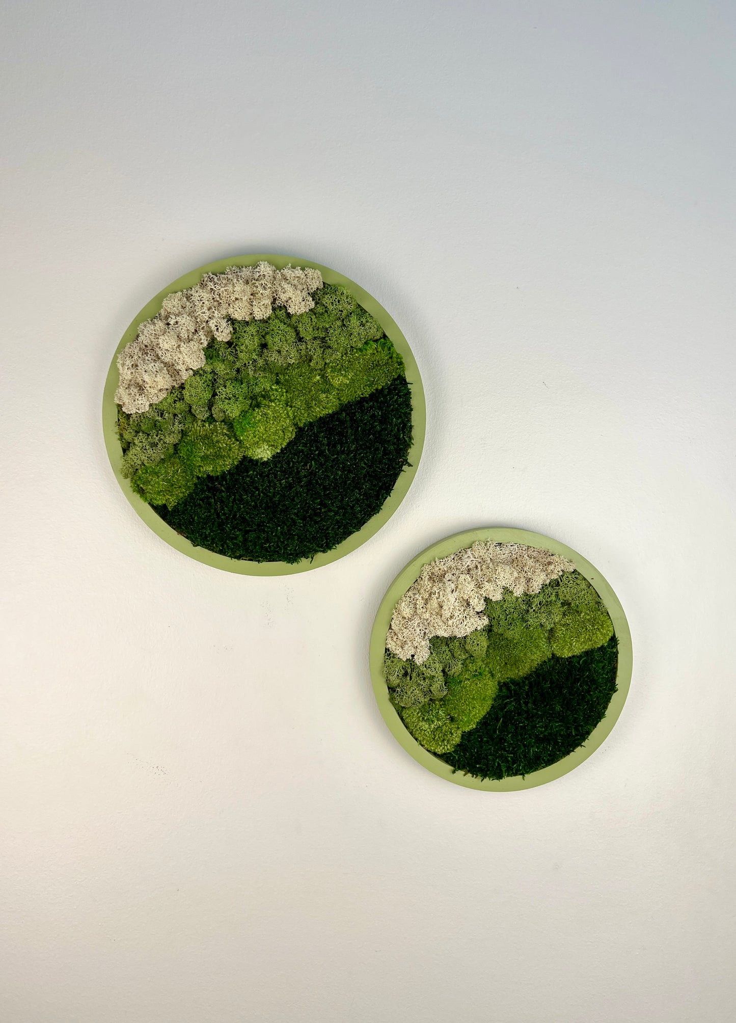 Moss Wall Art Circle -Ombre Shades of Green - Green Frame