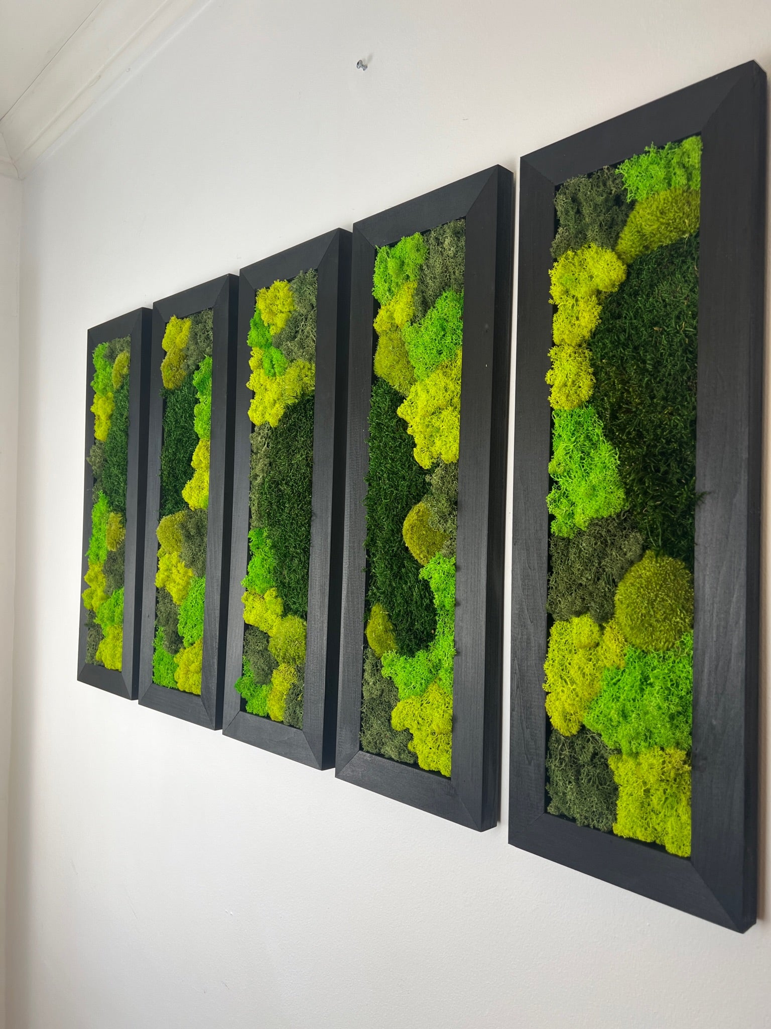 Long Rectangle Preserved Moss Decor