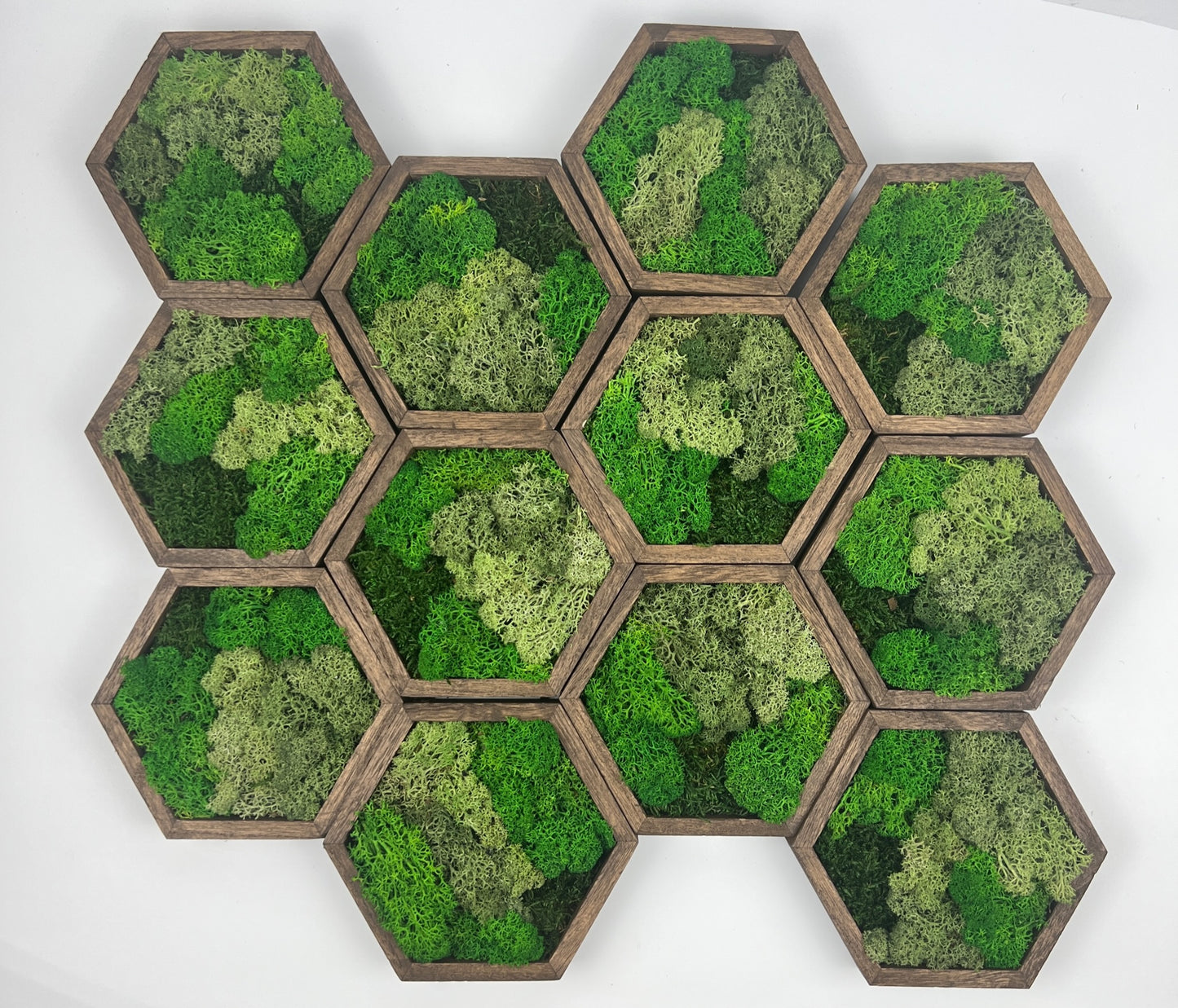 Bright Shades of Green - 5" by 6" - Hexagon