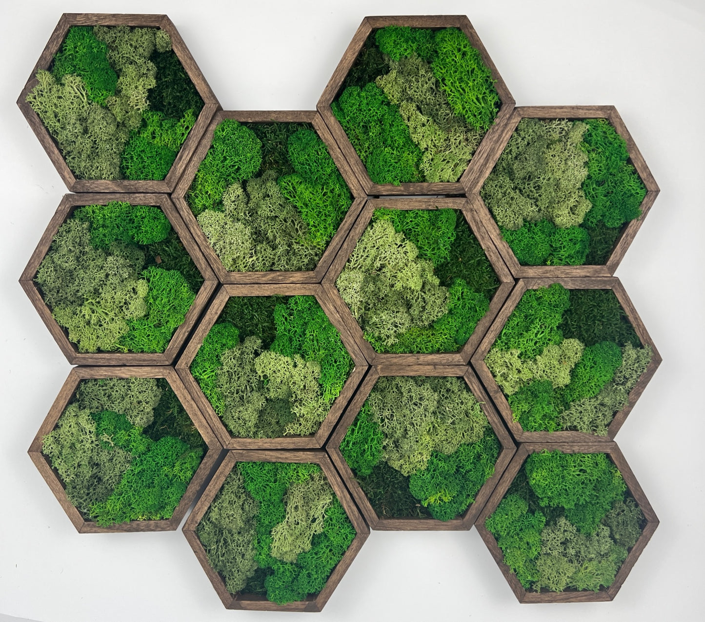 Bright Shades of Green - 5" by 6" - Hexagon