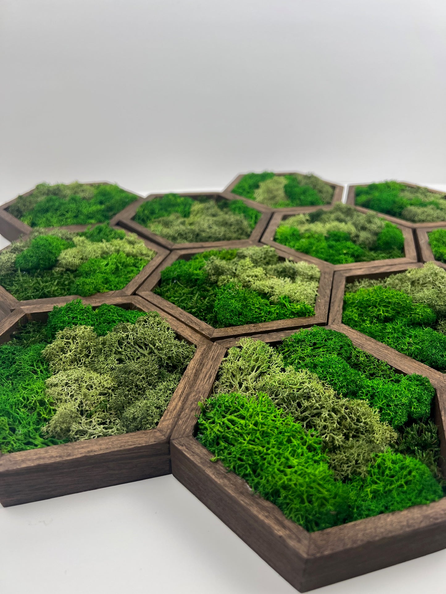 Bright Shades of Green - 5" by 6" - Hexagon