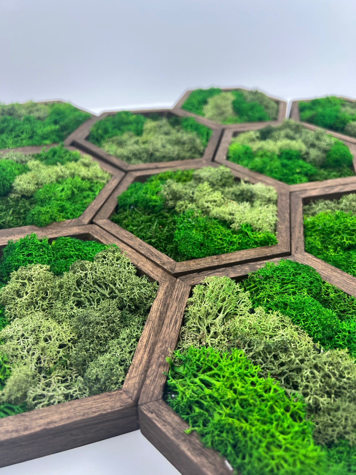 Bright Shades of Green - 5" by 6" - Hexagon