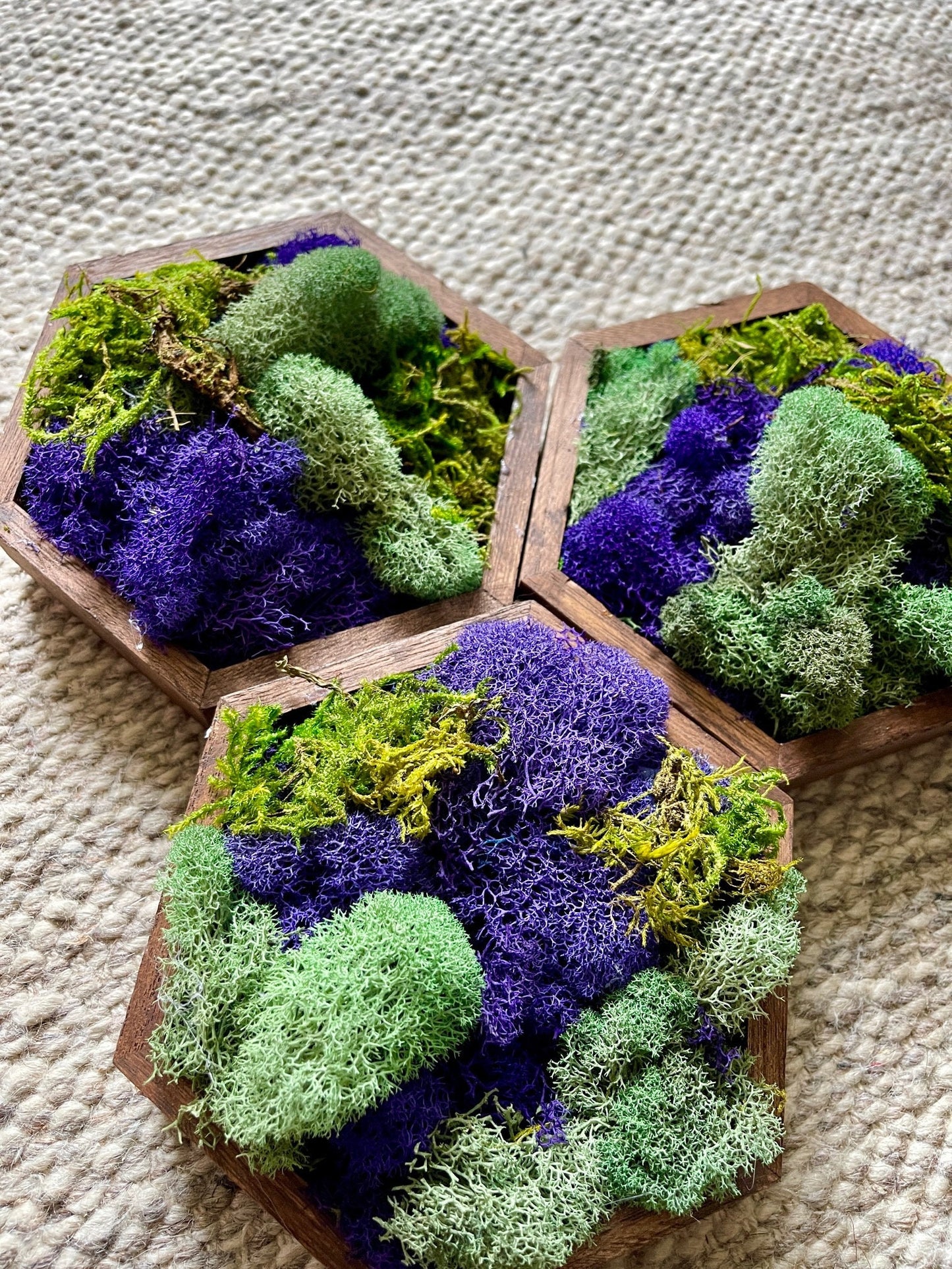 Moss Wall Art | Honeycomb Moss | Home Decor | Wood Hexagon | Green Teal and Purple