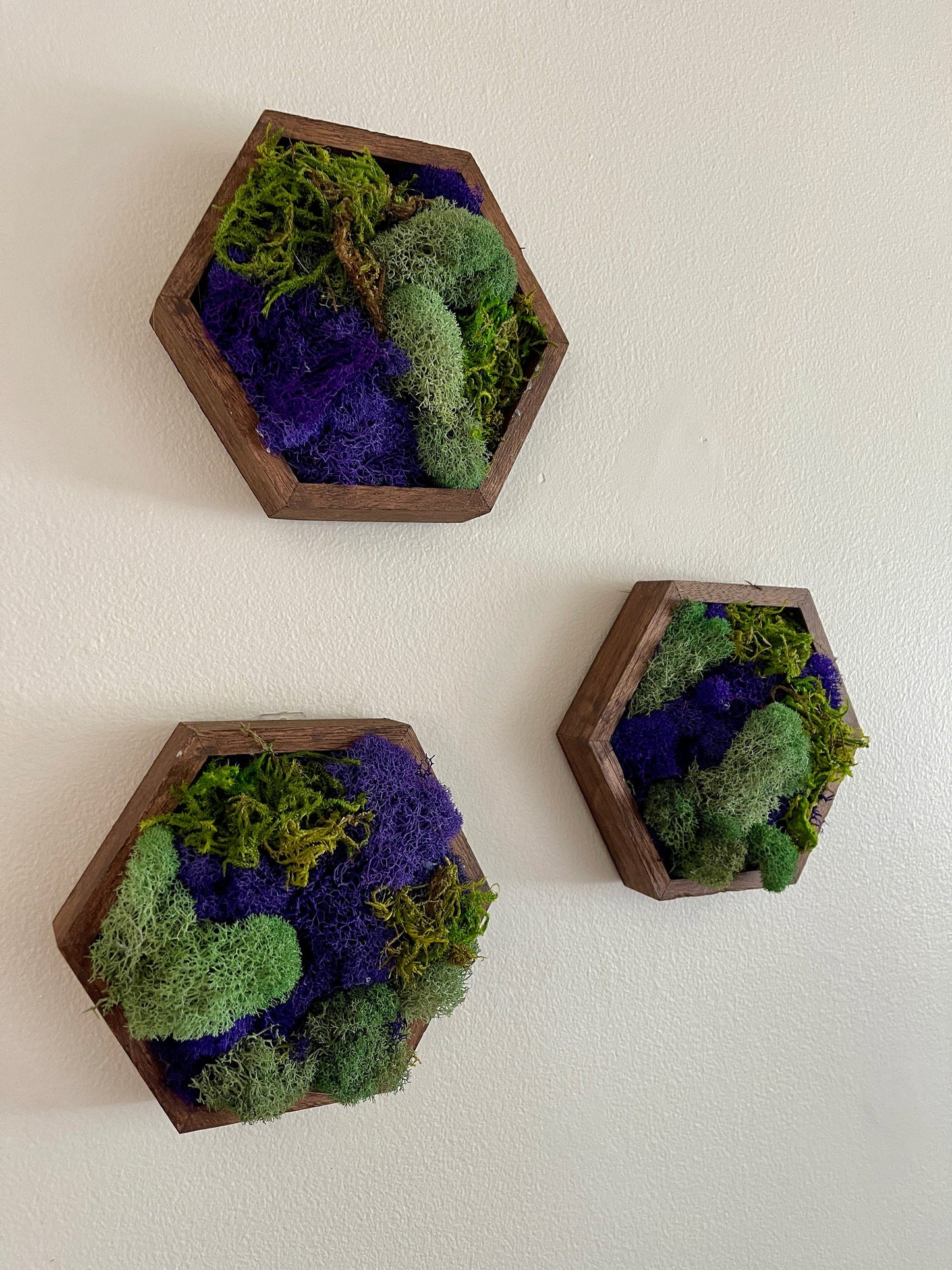 Moss Wall Art | Honeycomb Moss | Home Decor | Wood Hexagon | Green Teal and Purple