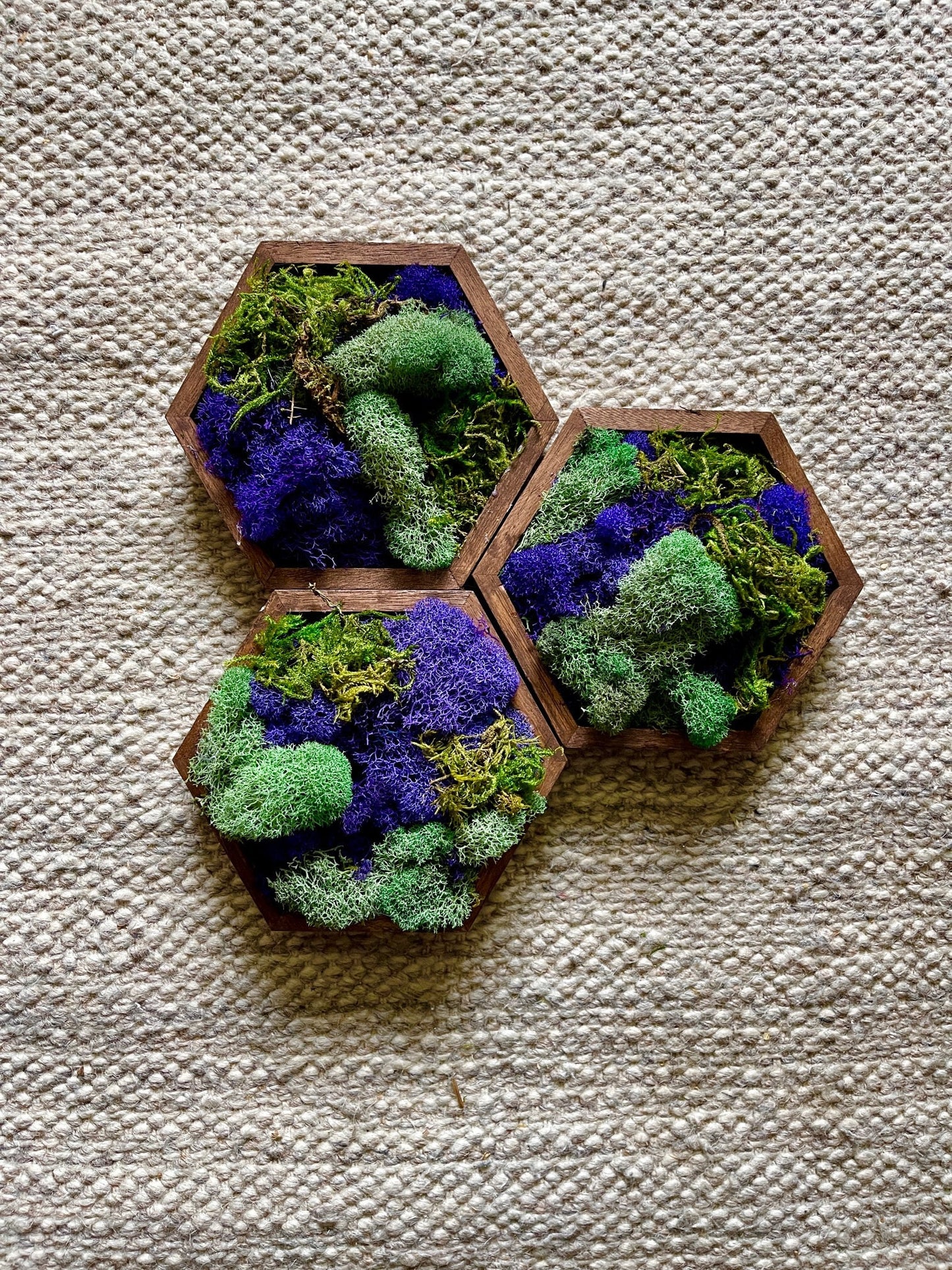 Moss Wall Art | Honeycomb Moss | Home Decor | Wood Hexagon | Green Teal and Purple