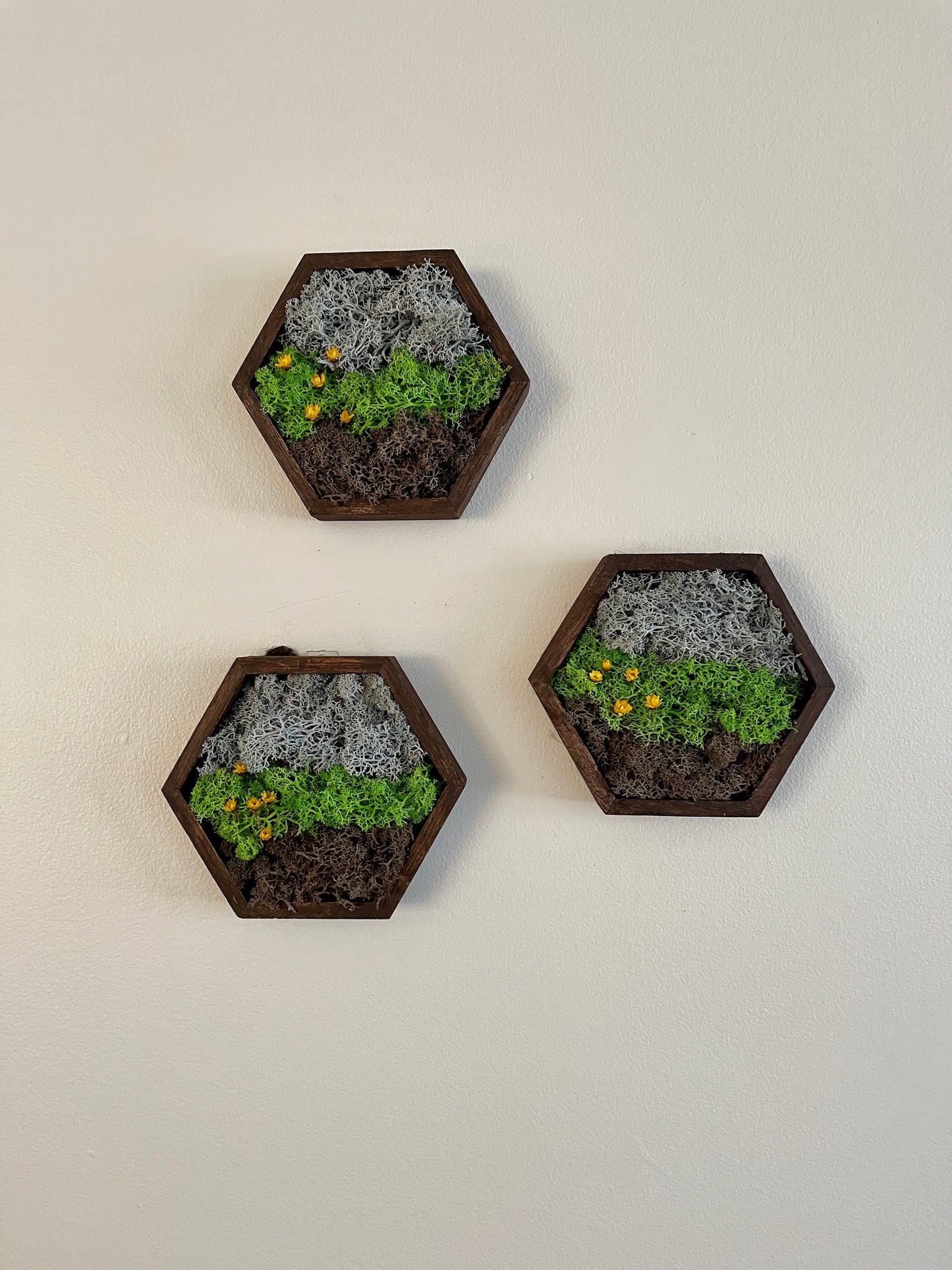 Moss Wall Art | Honeycomb Moss Decor | Single to Set of Twelve | Wood Hexagon | Soil Grass Sky | Brown Green and Blue