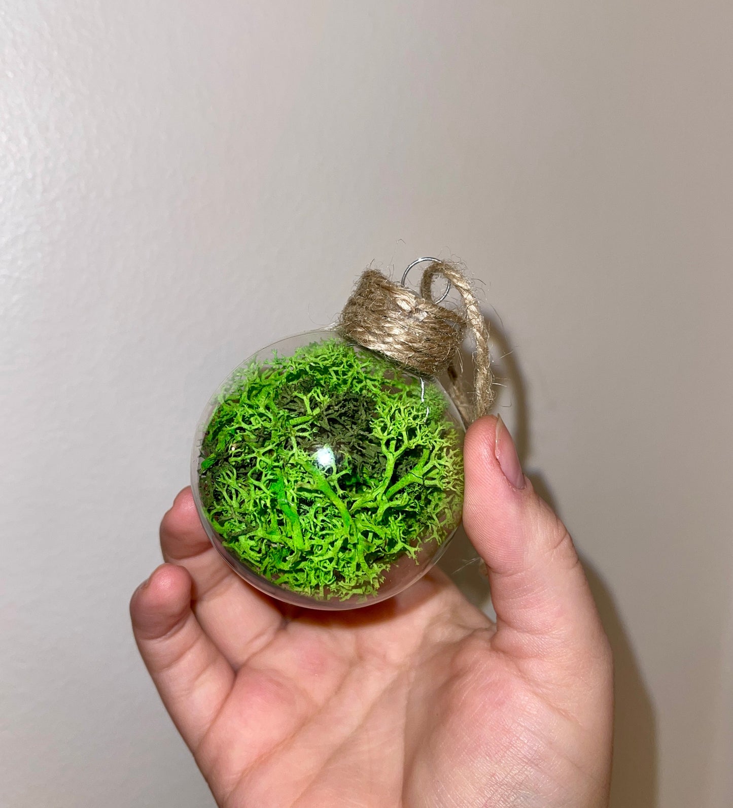 Moss Twine Ornaments | Moss Wall Art | Preserved Reindeer Moss | Green Moss Terrarium