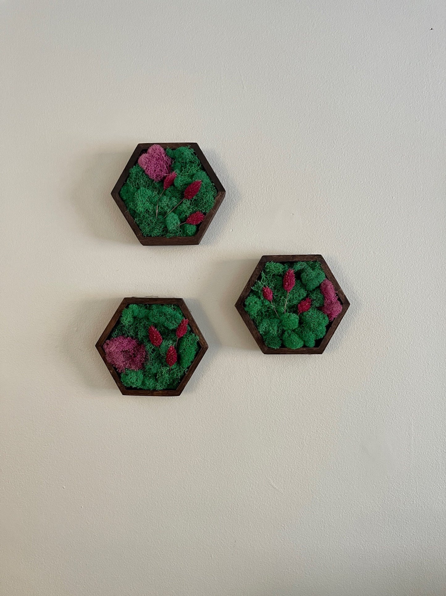 Moss Wall Art | Honeycomb Moss | Home Decor | Wood Hexagon | Teal and Pink with Preserved Product