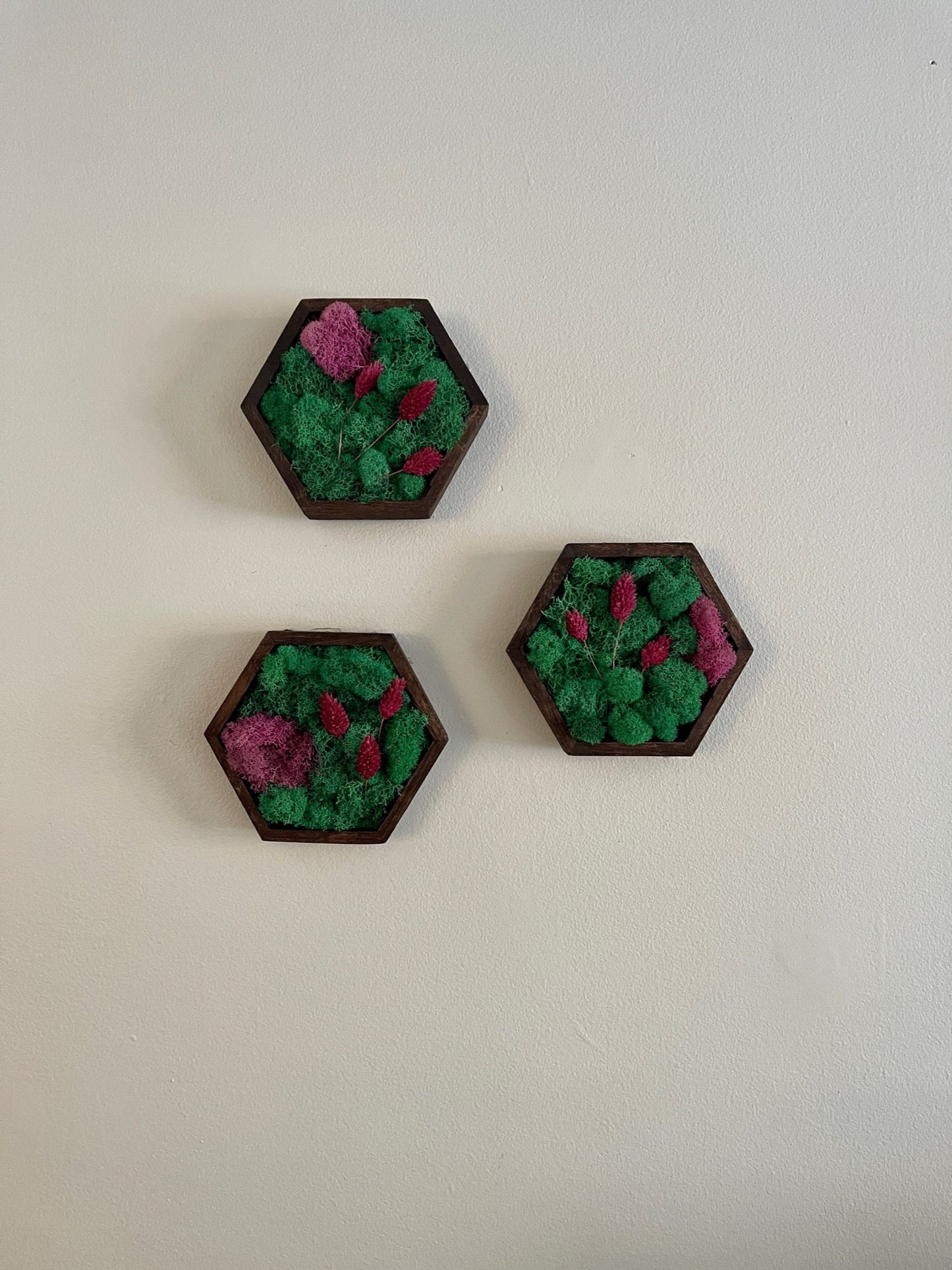 Moss Wall Art | Honeycomb Moss | Home Decor | Wood Hexagon | Teal and Pink with Preserved Product