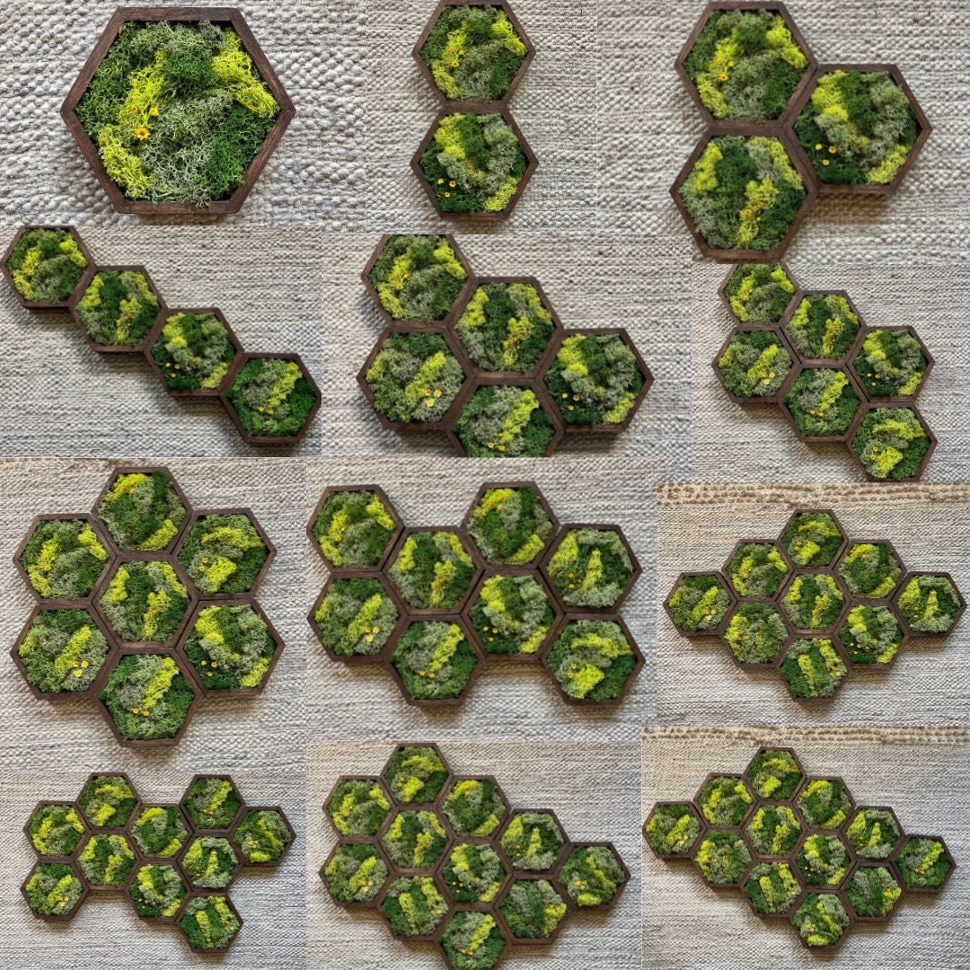 Moss Wall Art | Honeycomb Moss Decor | Single to Set of Twelve | Wood Hexagon | Soil Grass Sky | Brown Green and Blue