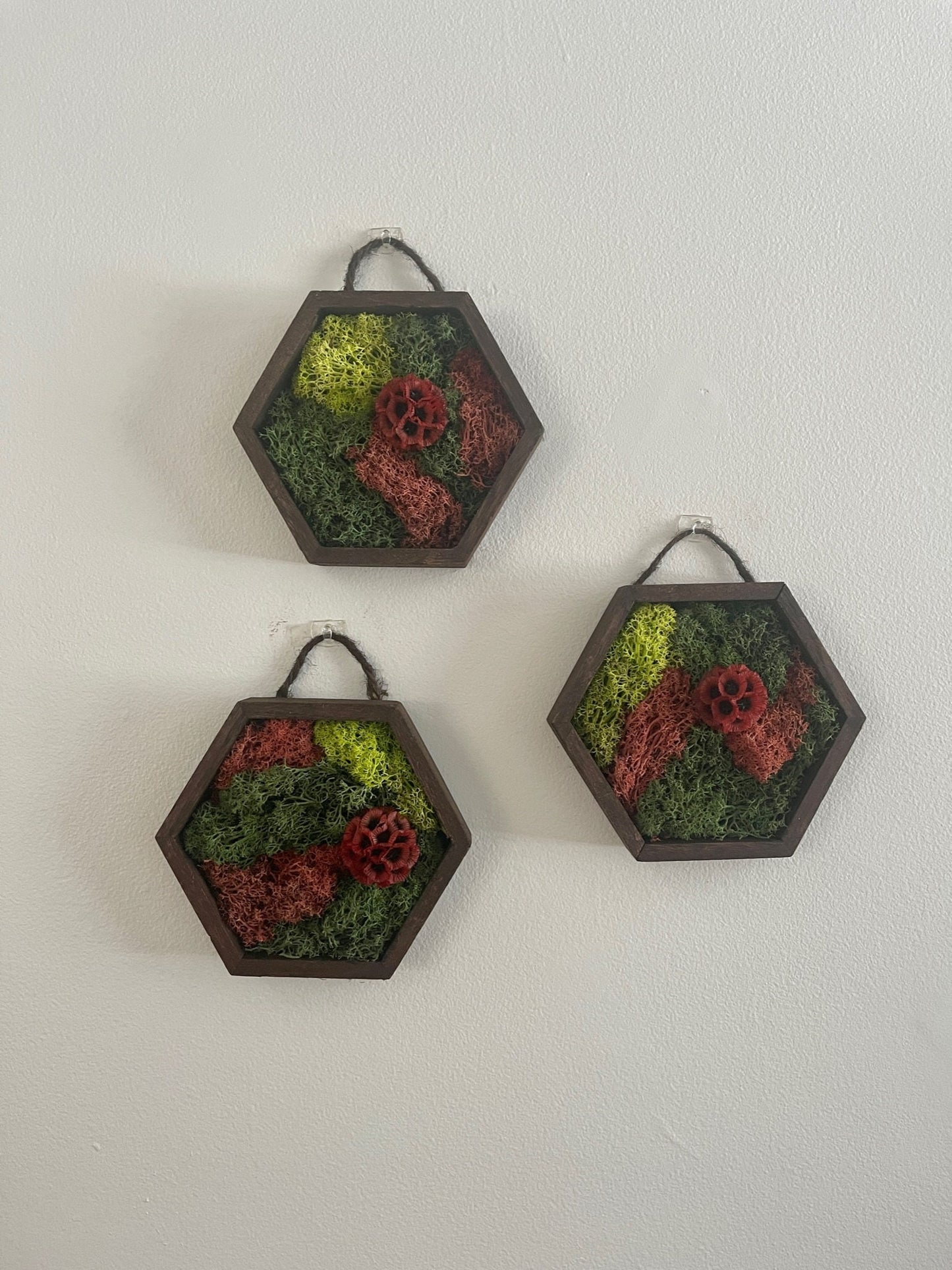 Moss Wall Art | Honeycomb Moss | Preserved Moss | Home Decor | Live Moss | Wood Hexagon | House Warming Gift | Green and Red Scabiosa