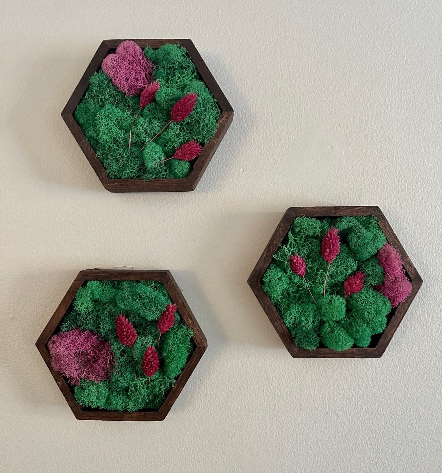 Moss Wall Art | Honeycomb Moss | Home Decor | Wood Hexagon | Teal and Pink with Preserved Product