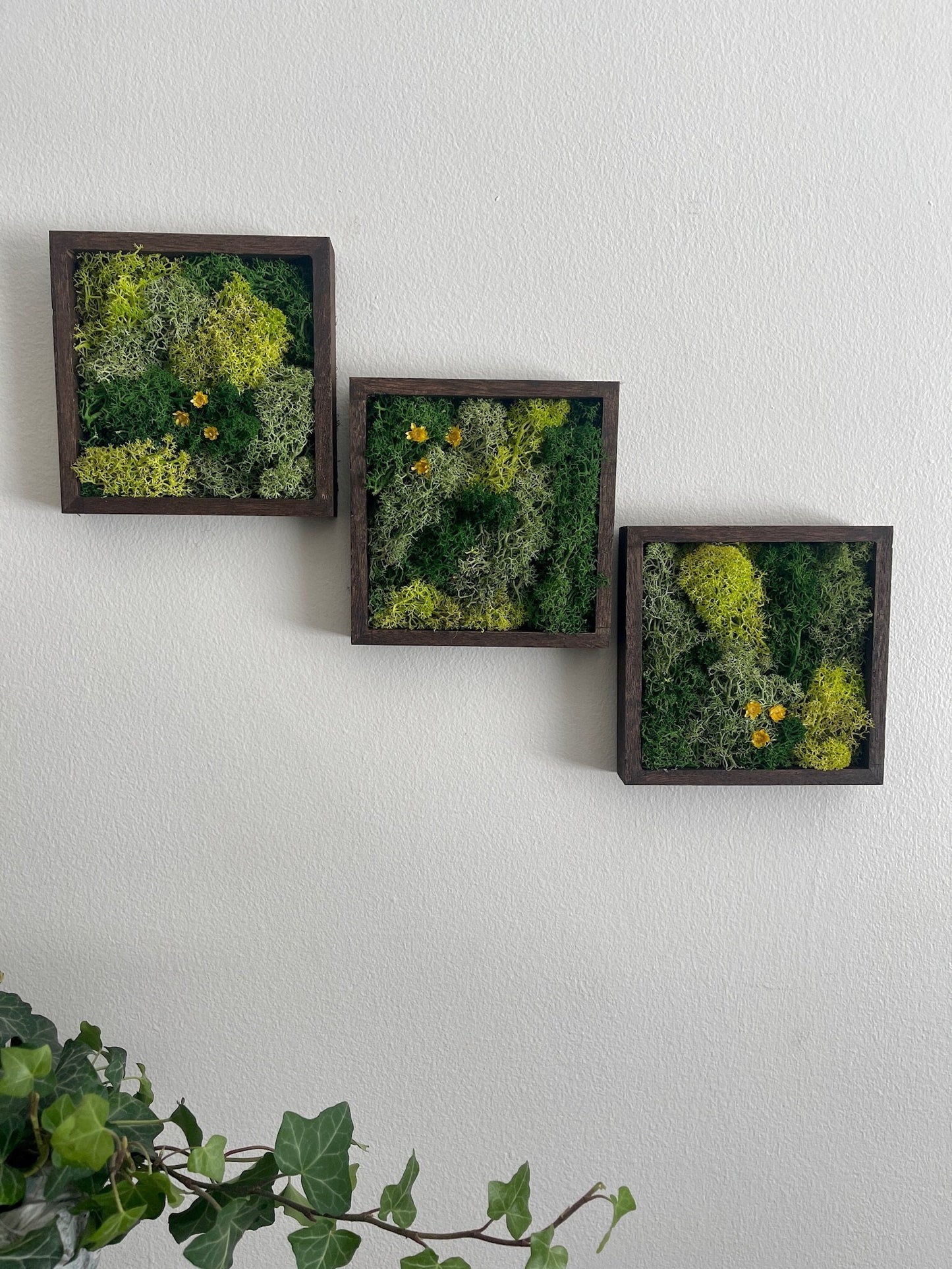 Moss Wall Art | Moss Decor | Single to Set of Twelve | Wood Square Frame | Preserved Moss | Live Moss | Green with Preserved Flowers
