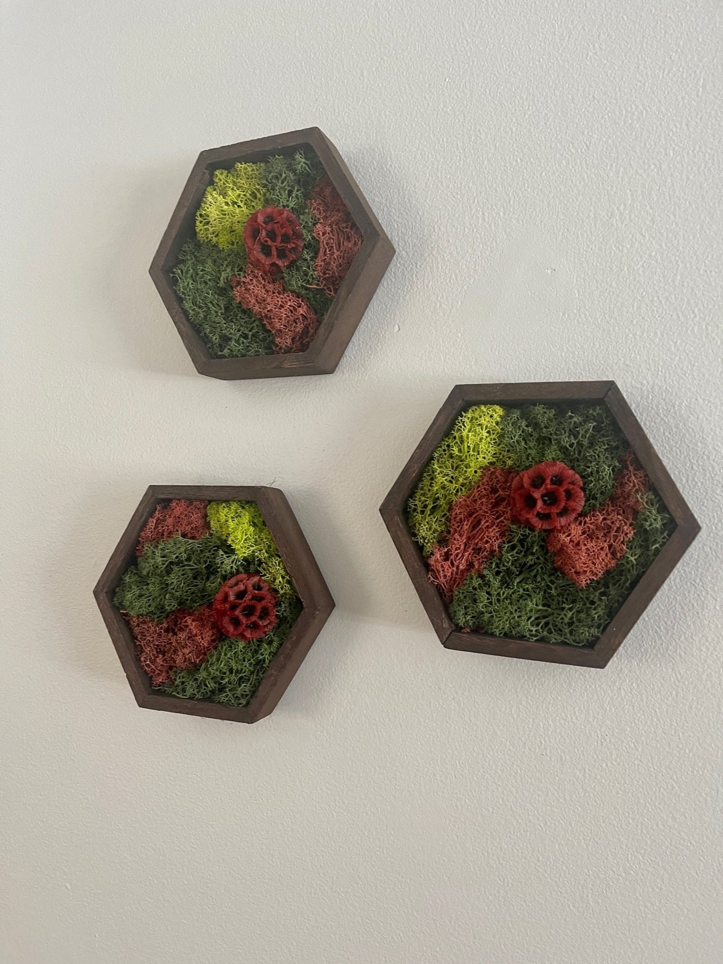 Moss Wall Art | Honeycomb Moss | Preserved Moss | Home Decor | Live Moss | Wood Hexagon | House Warming Gift | Green and Red Scabiosa