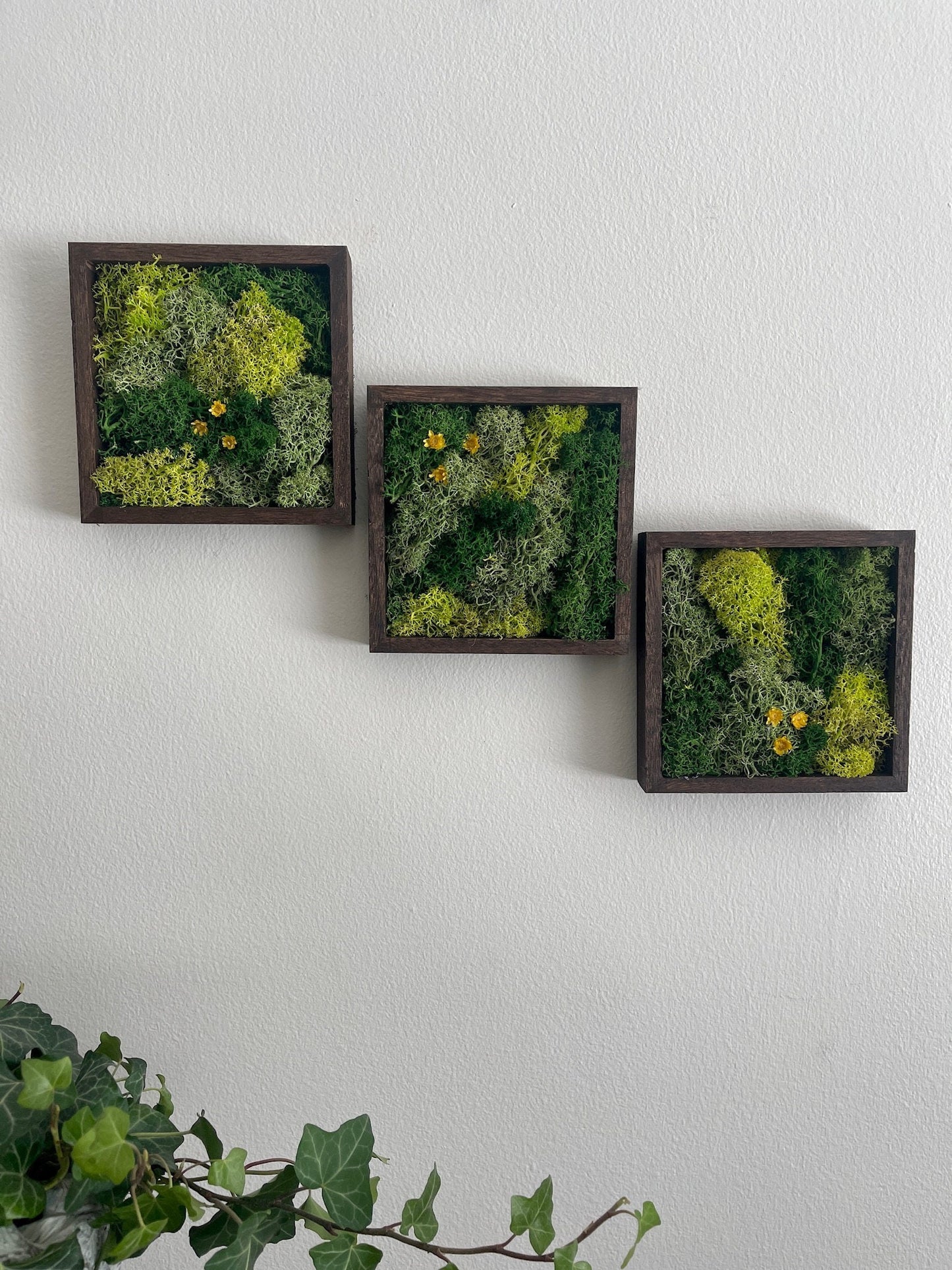 Moss Wall Art | Moss Decor | Single to Set of Twelve | Wood Square Frame | Preserved Moss | Live Moss | Green with Preserved Flowers