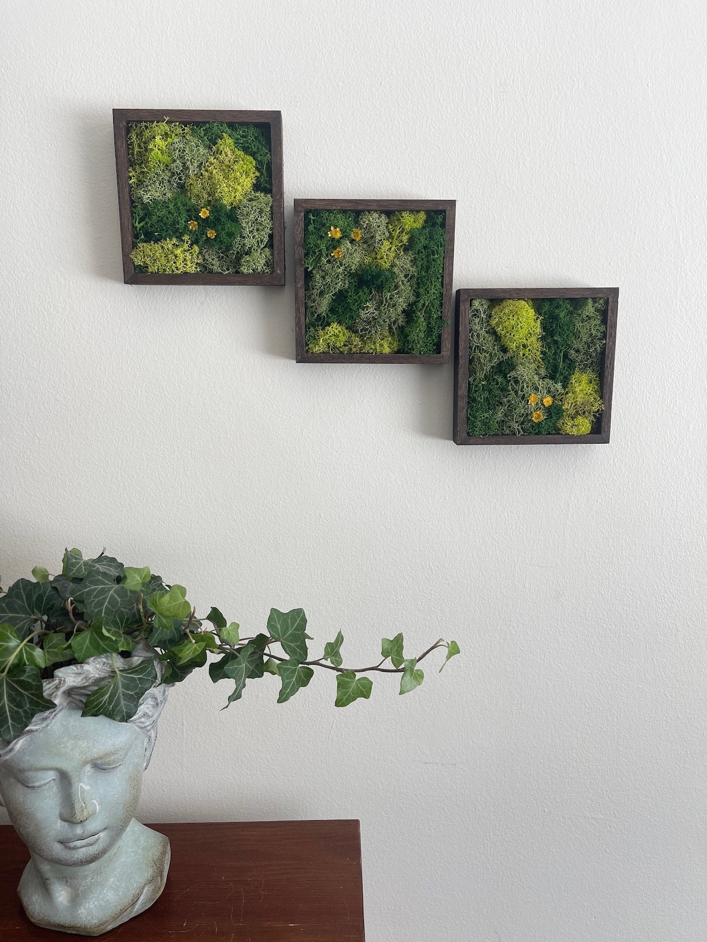 Moss Wall Art | Moss Decor | Single to Set of Twelve | Wood Square Frame | Preserved Moss | Live Moss | Green with Preserved Flowers