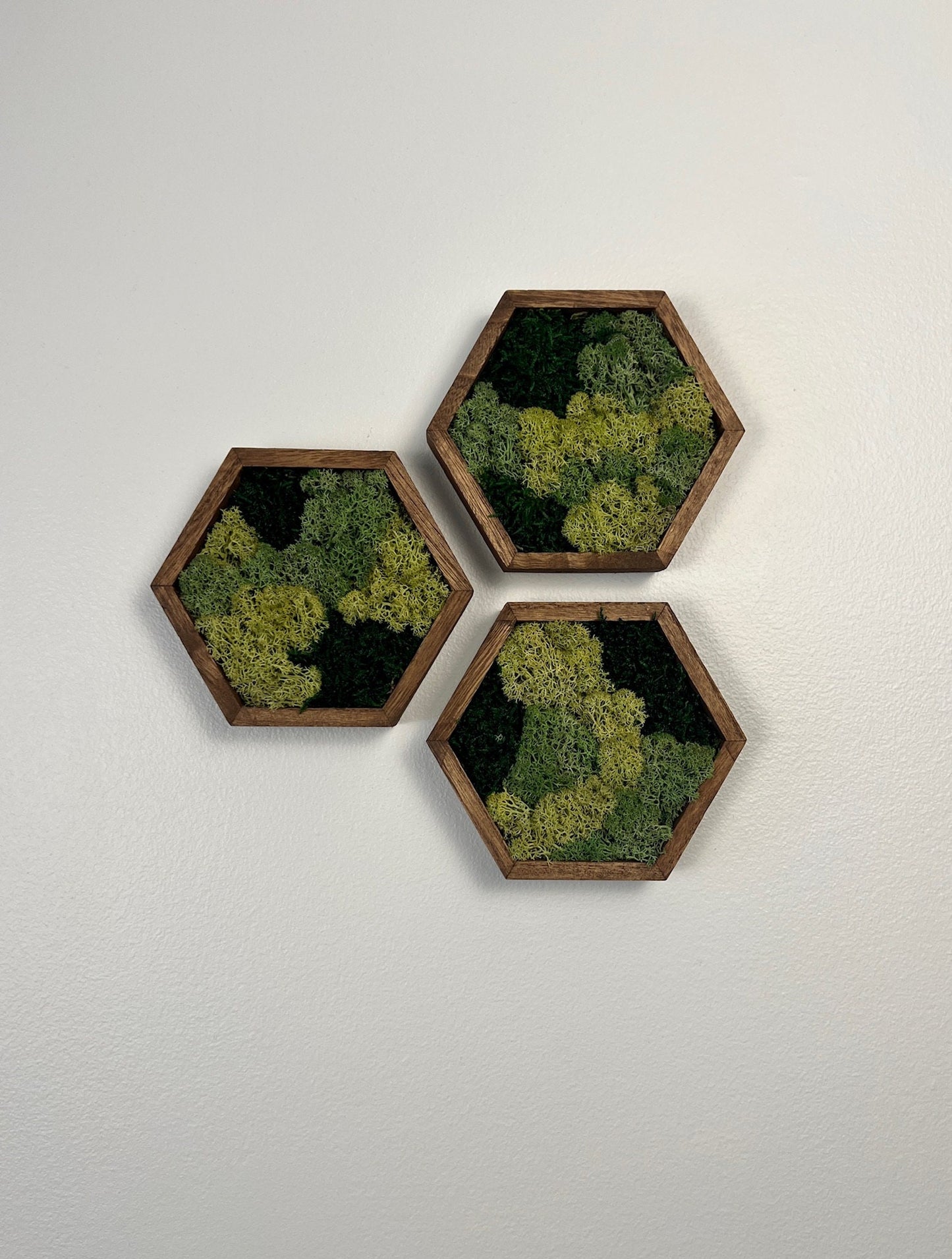 Moss Wall Art | Honeycomb Moss Decor | Single to Set of Twelve | Wood Hexagon | Green