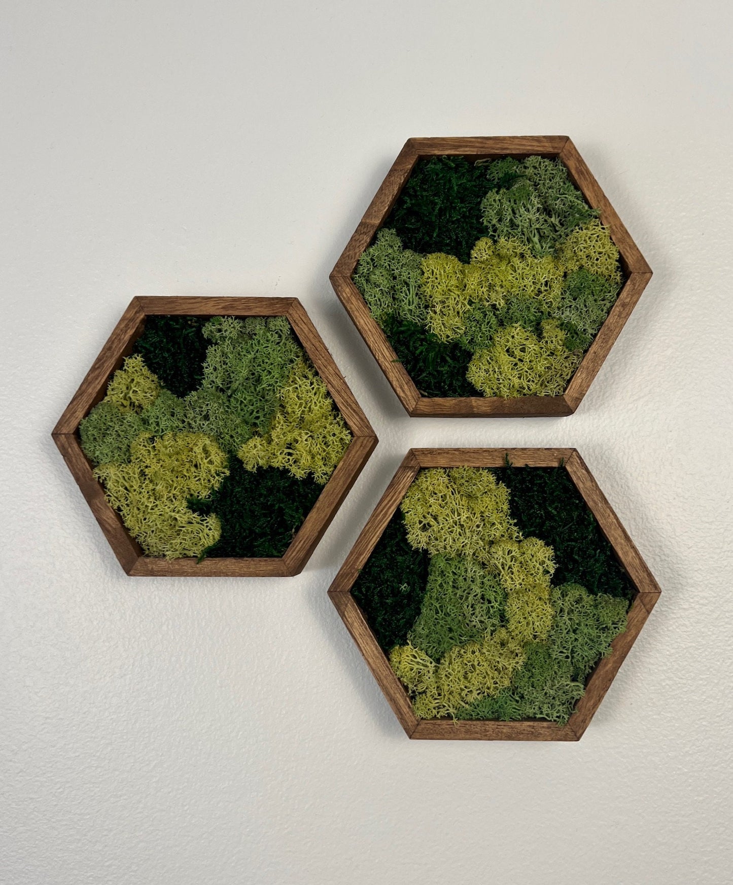 Moss Wall Art | Honeycomb Moss Decor | Single to Set of Twelve | Wood Hexagon | Green