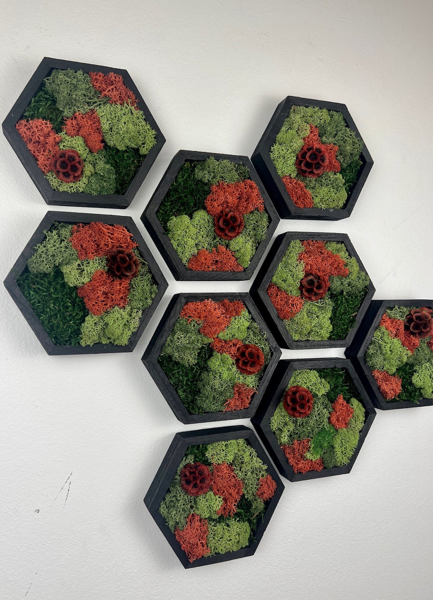 Moss Wall Art | Honeycomb Moss | Single to Set of Twelve | Wood Hexagon | Reindeer and Sheet Moss | Red Scabiosa | Mothers Day Gift