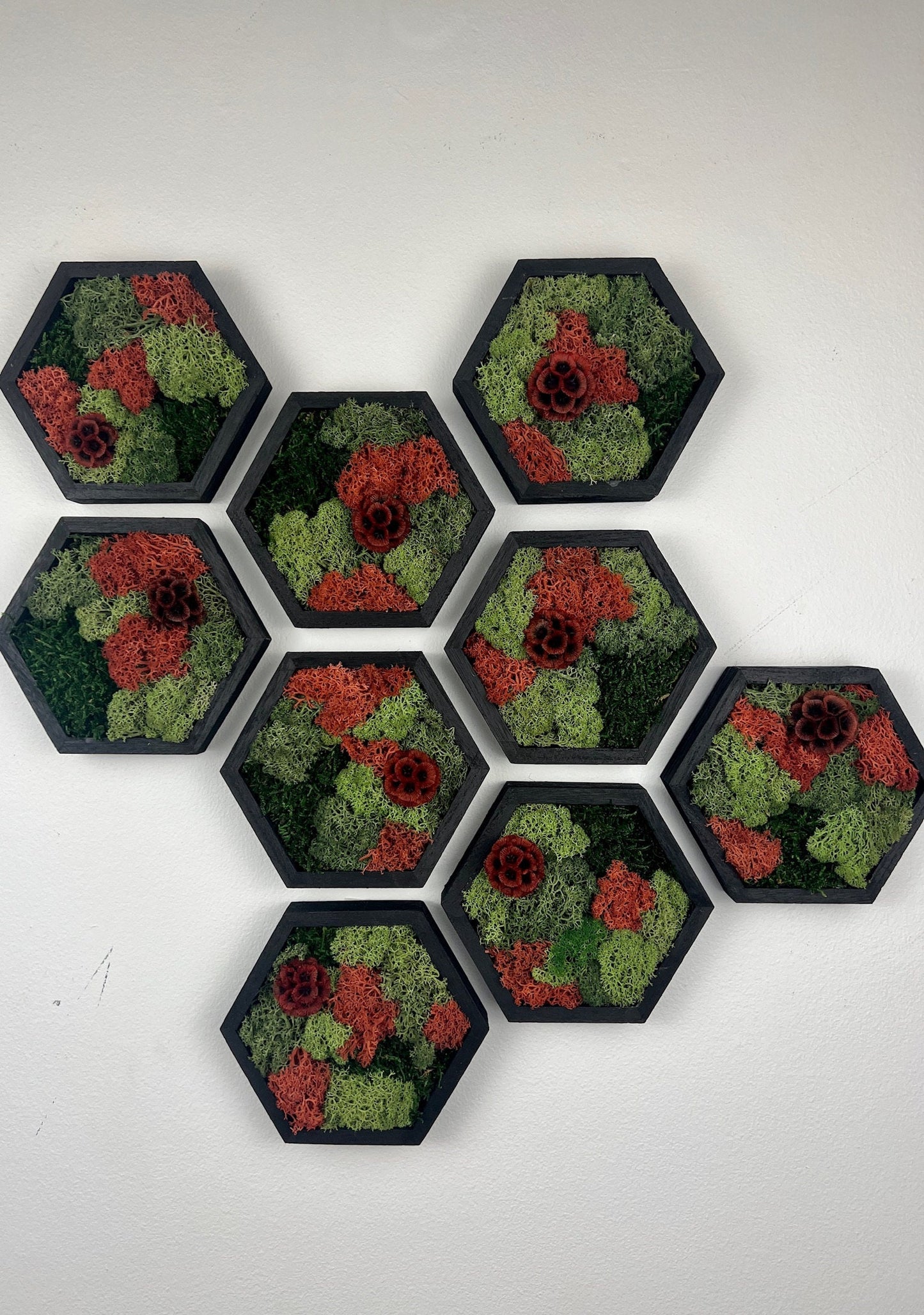 Moss Wall Art | Honeycomb Moss | Single to Set of Twelve | Wood Hexagon | Reindeer and Sheet Moss | Red Scabiosa | Mothers Day Gift