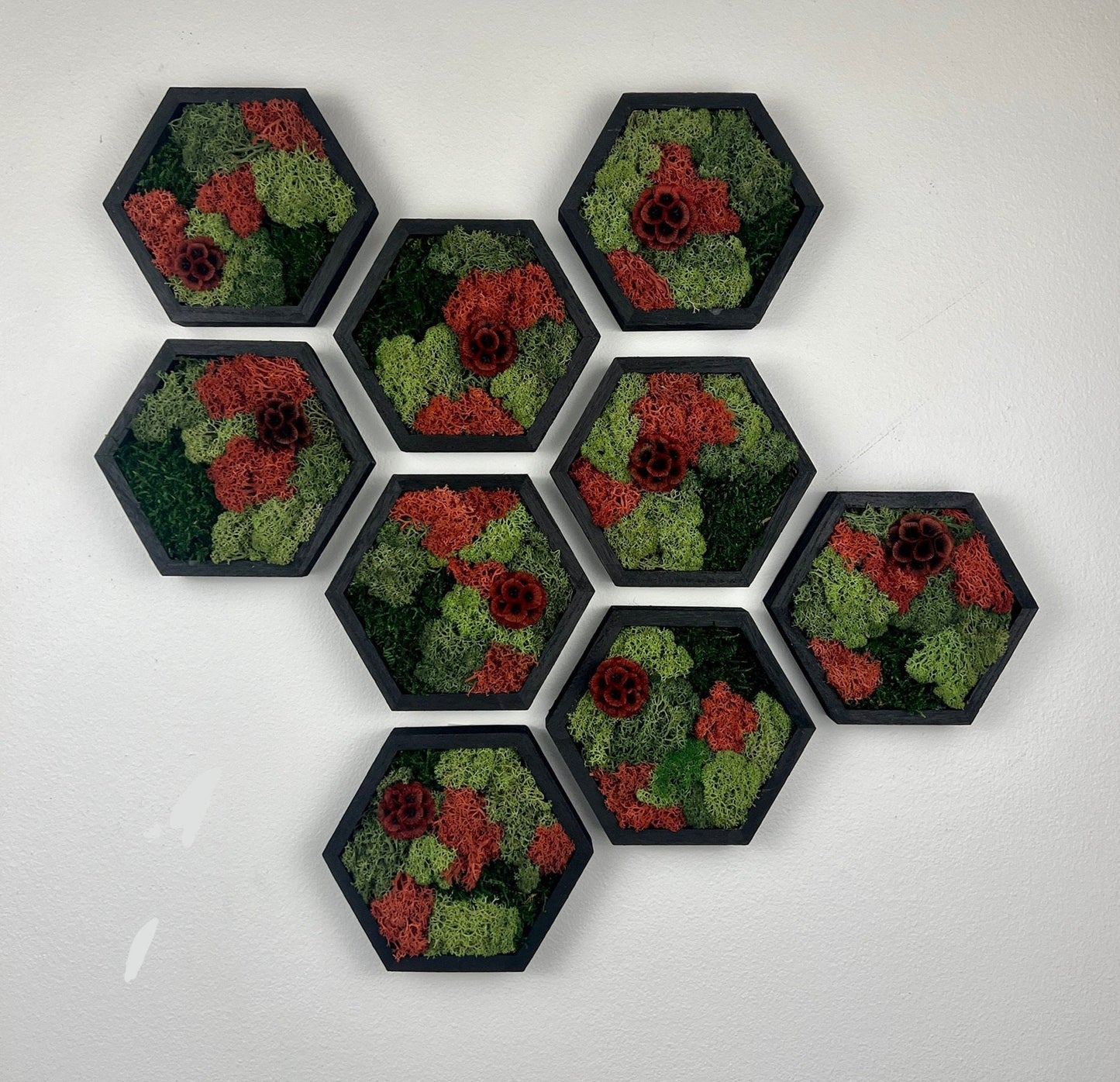 Moss Wall Art | Honeycomb Moss | Single to Set of Twelve | Wood Hexagon | Reindeer and Sheet Moss | Red Scabiosa | Mothers Day Gift