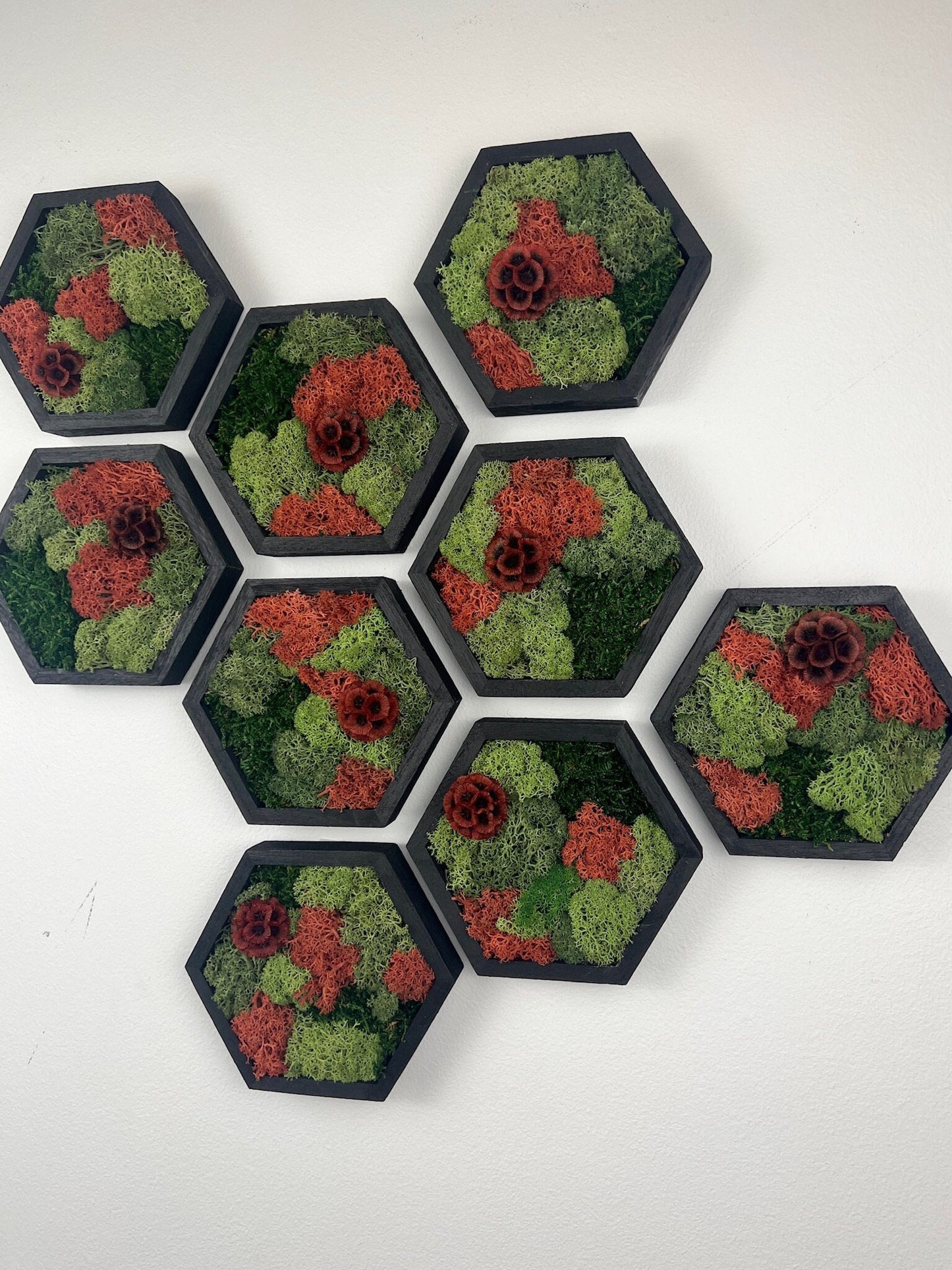 Moss Wall Art | Honeycomb Moss | Single to Set of Twelve | Wood Hexagon | Reindeer and Sheet Moss | Red Scabiosa | Mothers Day Gift